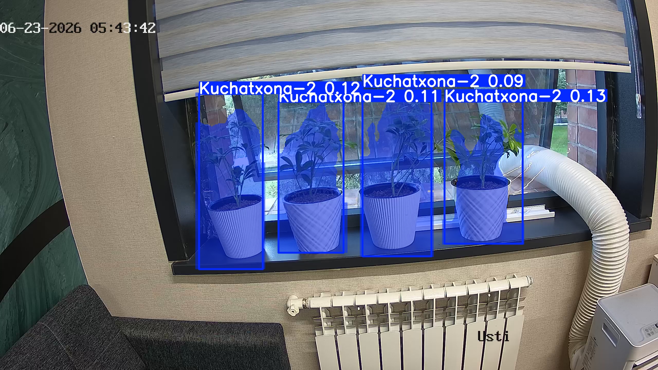 seedling_2026-06-23_05-43-58.jpg