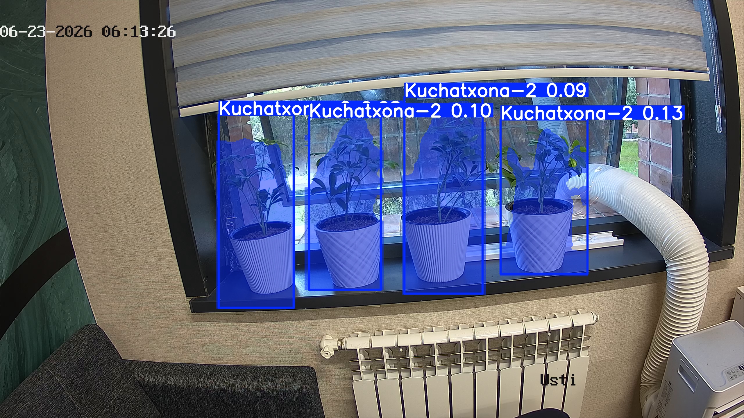 seedling_2026-06-23_06-13-41.jpg