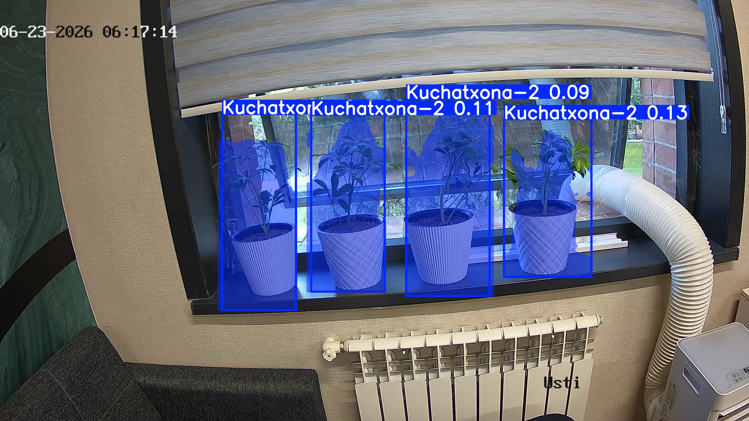 seedling_2026-06-23_06-17-29.jpg