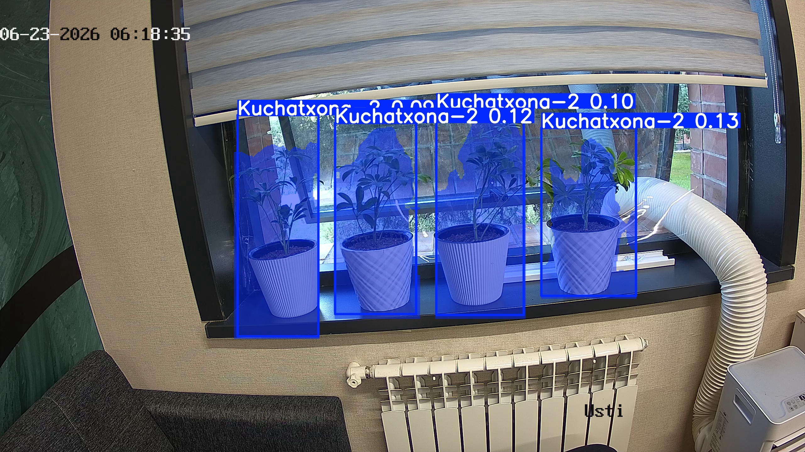 seedling_2026-06-23_06-18-51.jpg