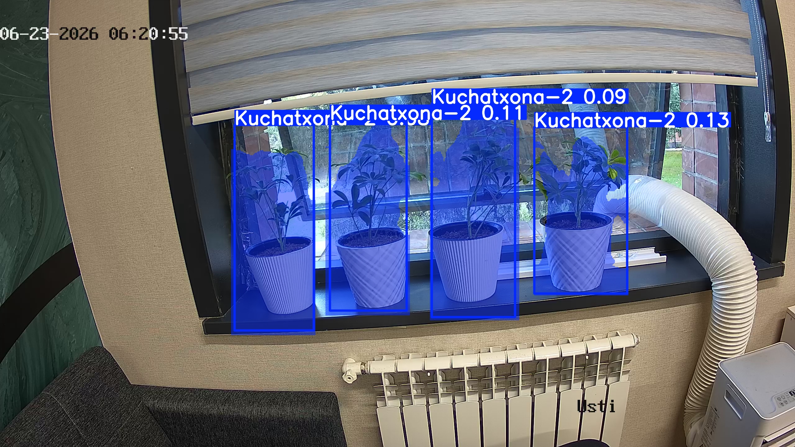seedling_2026-06-23_06-21-11.jpg