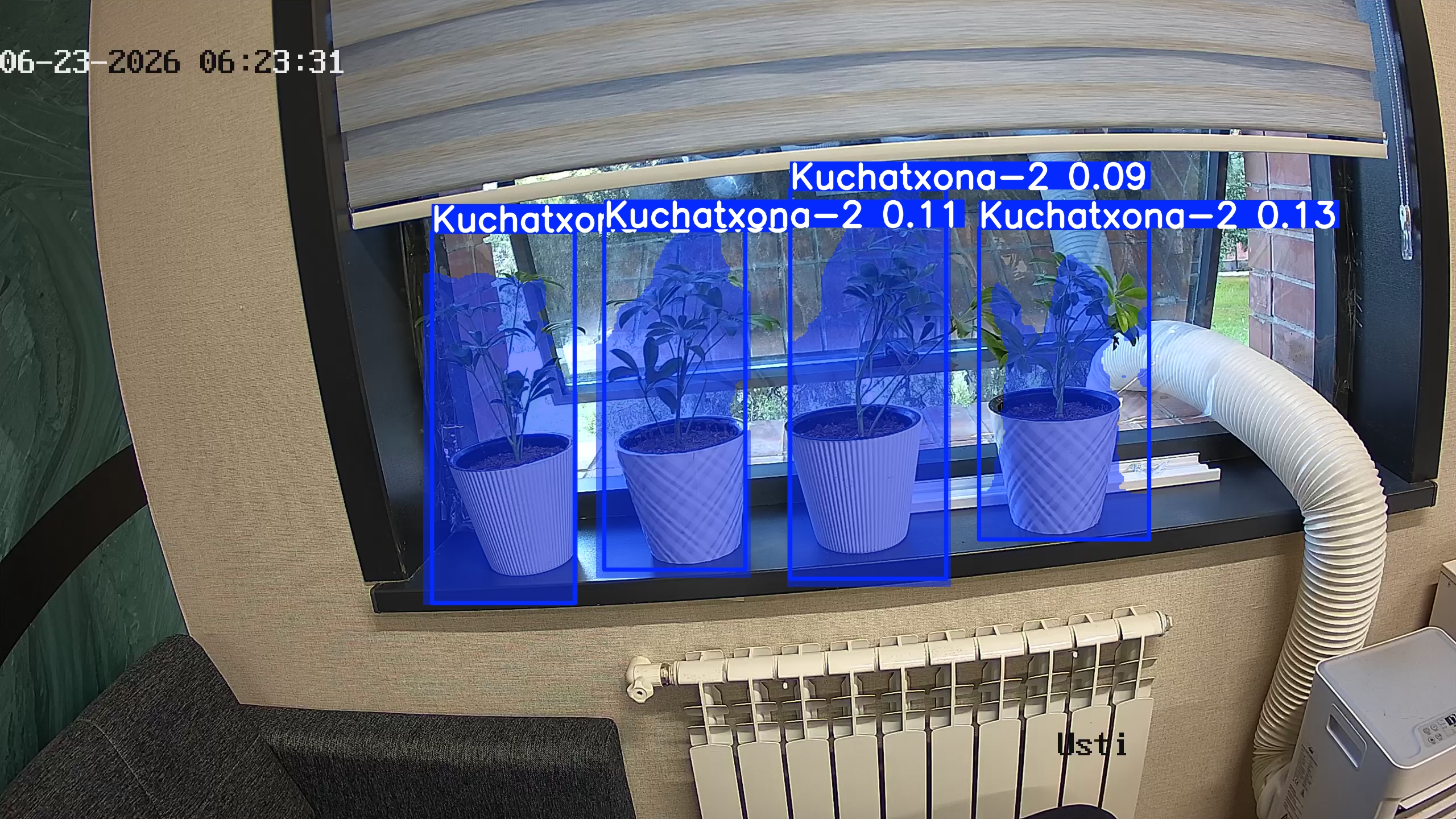seedling_2026-06-23_06-23-46.jpg