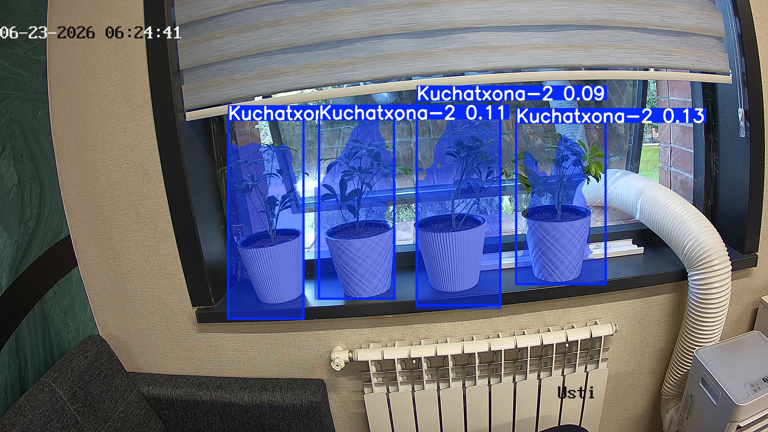 seedling_2026-06-23_06-24-56.jpg