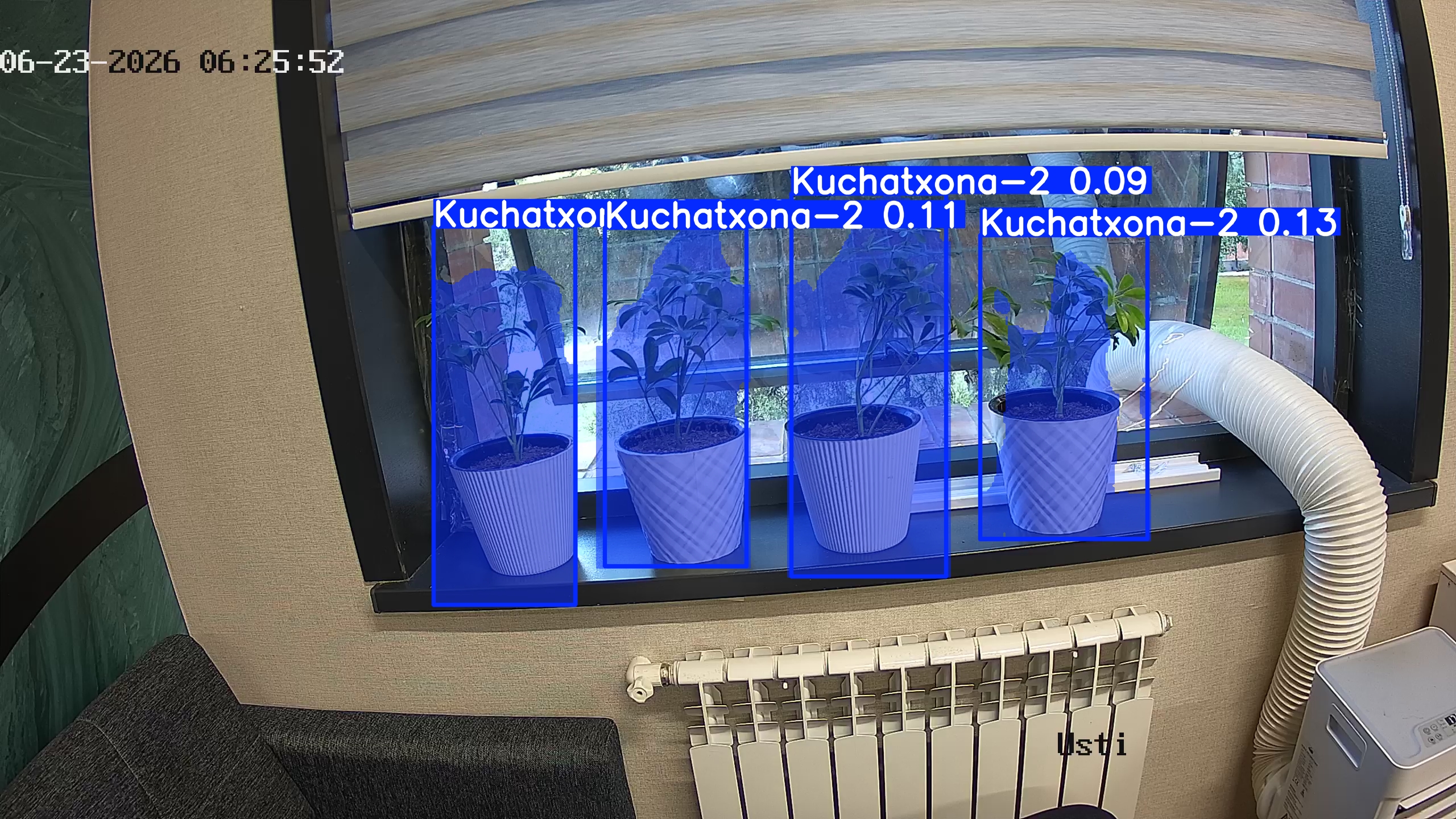 seedling_2026-06-23_06-26-07.jpg