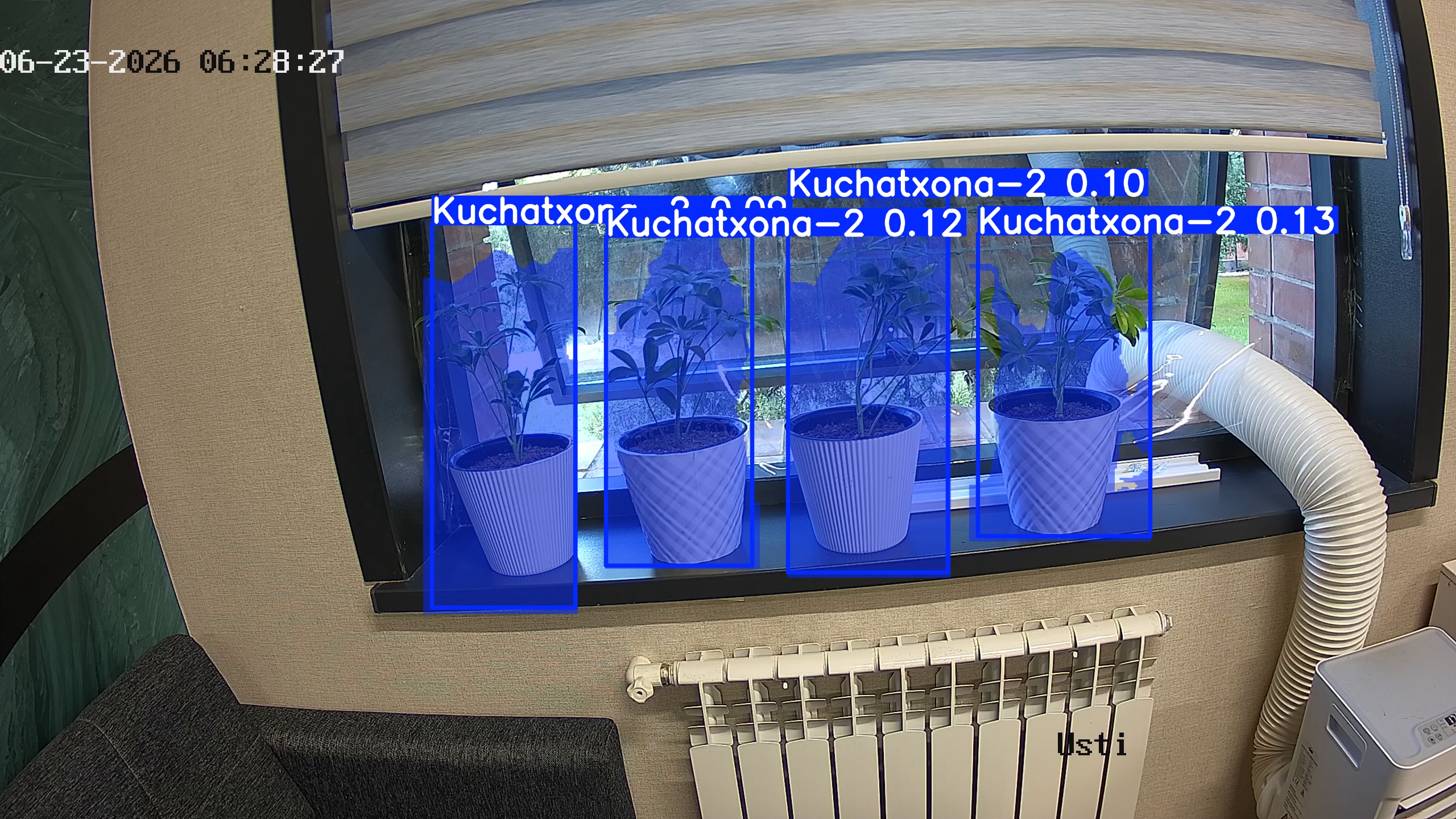 seedling_2026-06-23_06-28-43.jpg