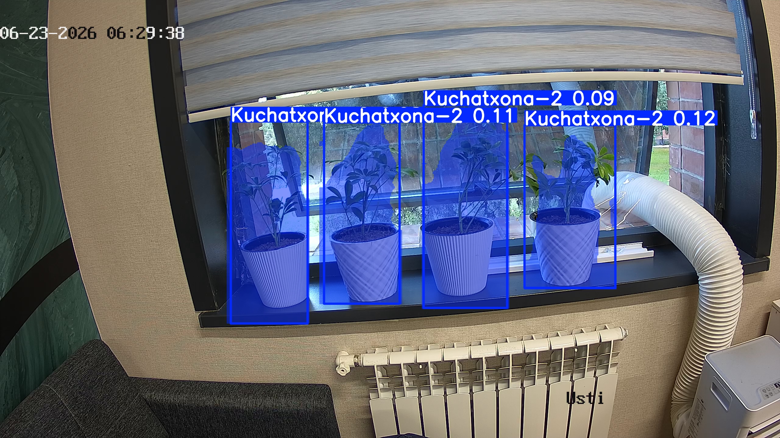 seedling_2026-06-23_06-29-53.jpg