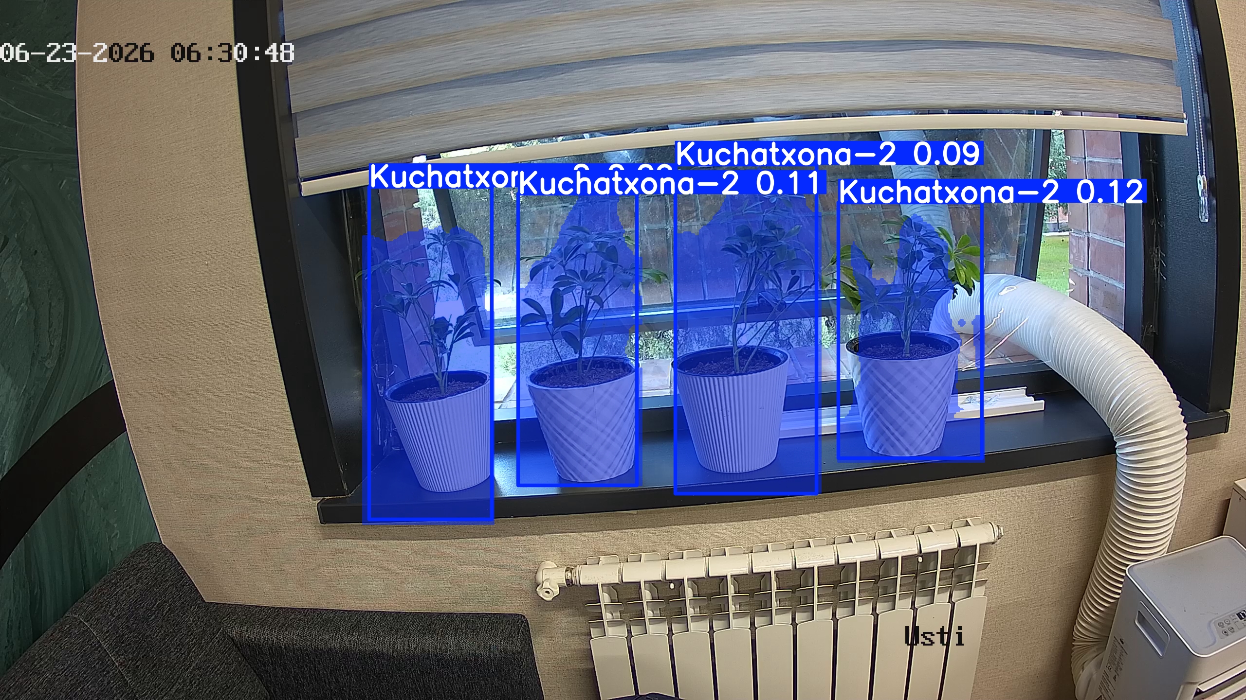 seedling_2026-06-23_06-31-03.jpg