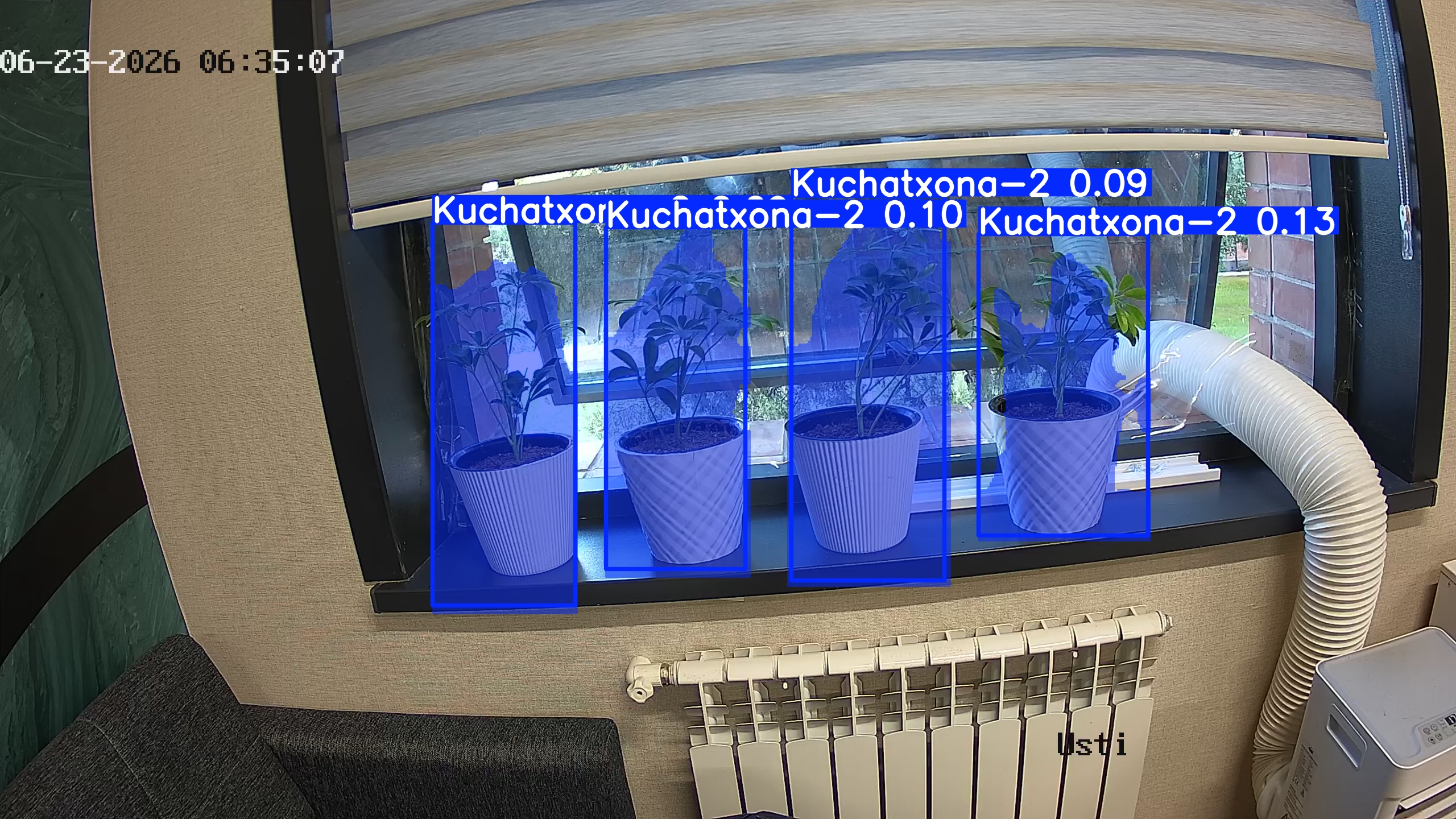 seedling_2026-06-23_06-35-22.jpg