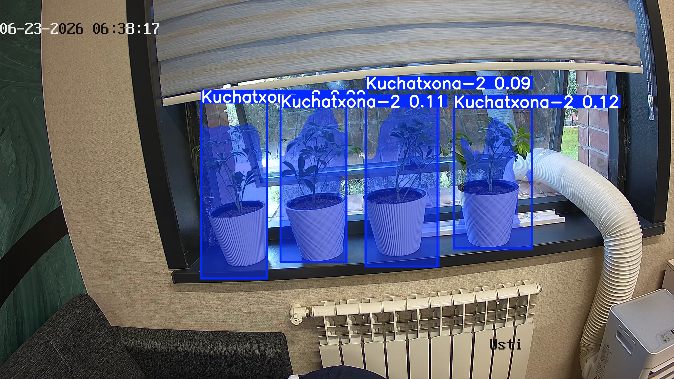 seedling_2026-06-23_06-38-27.jpg