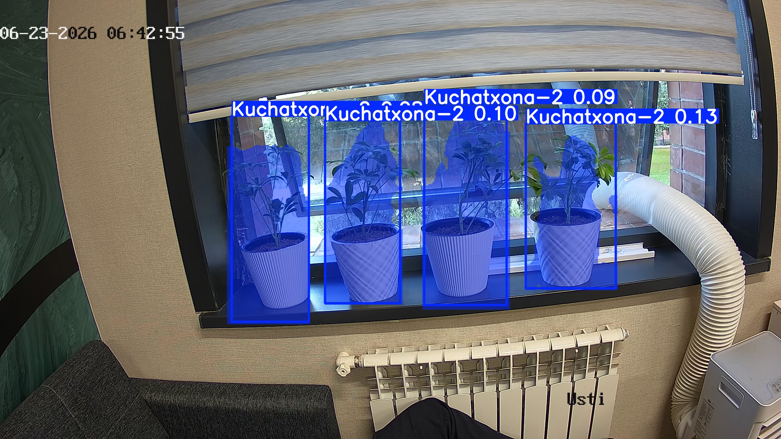 seedling_2026-06-23_06-43-10.jpg