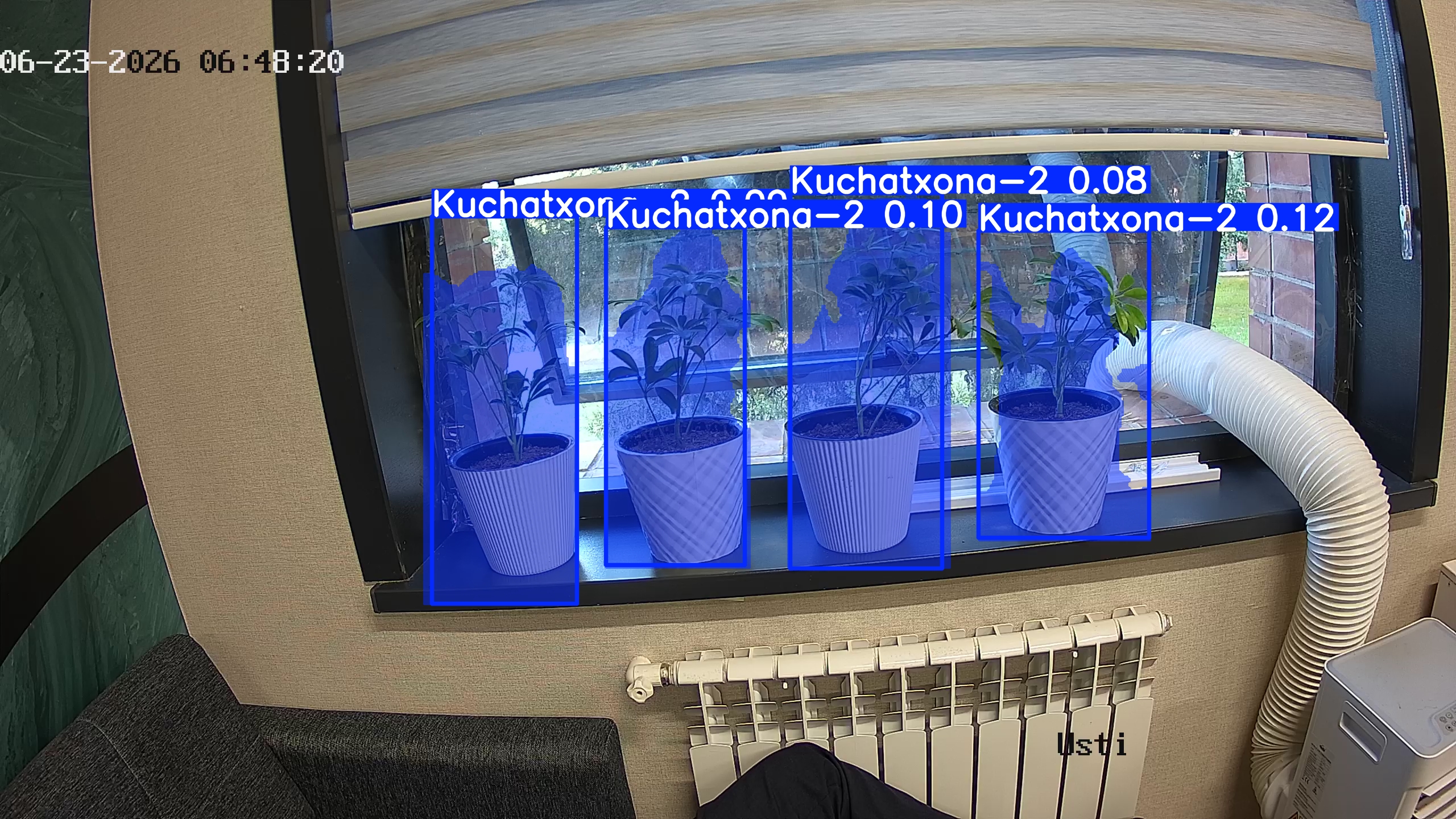 seedling_2026-06-23_06-48-35.jpg