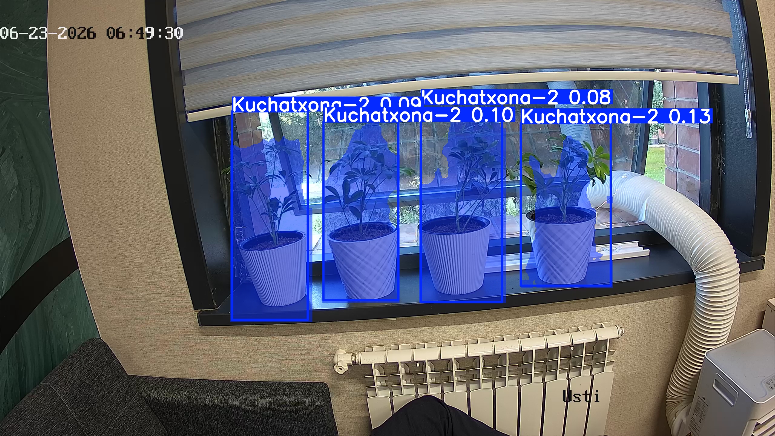 seedling_2026-06-23_06-49-45.jpg