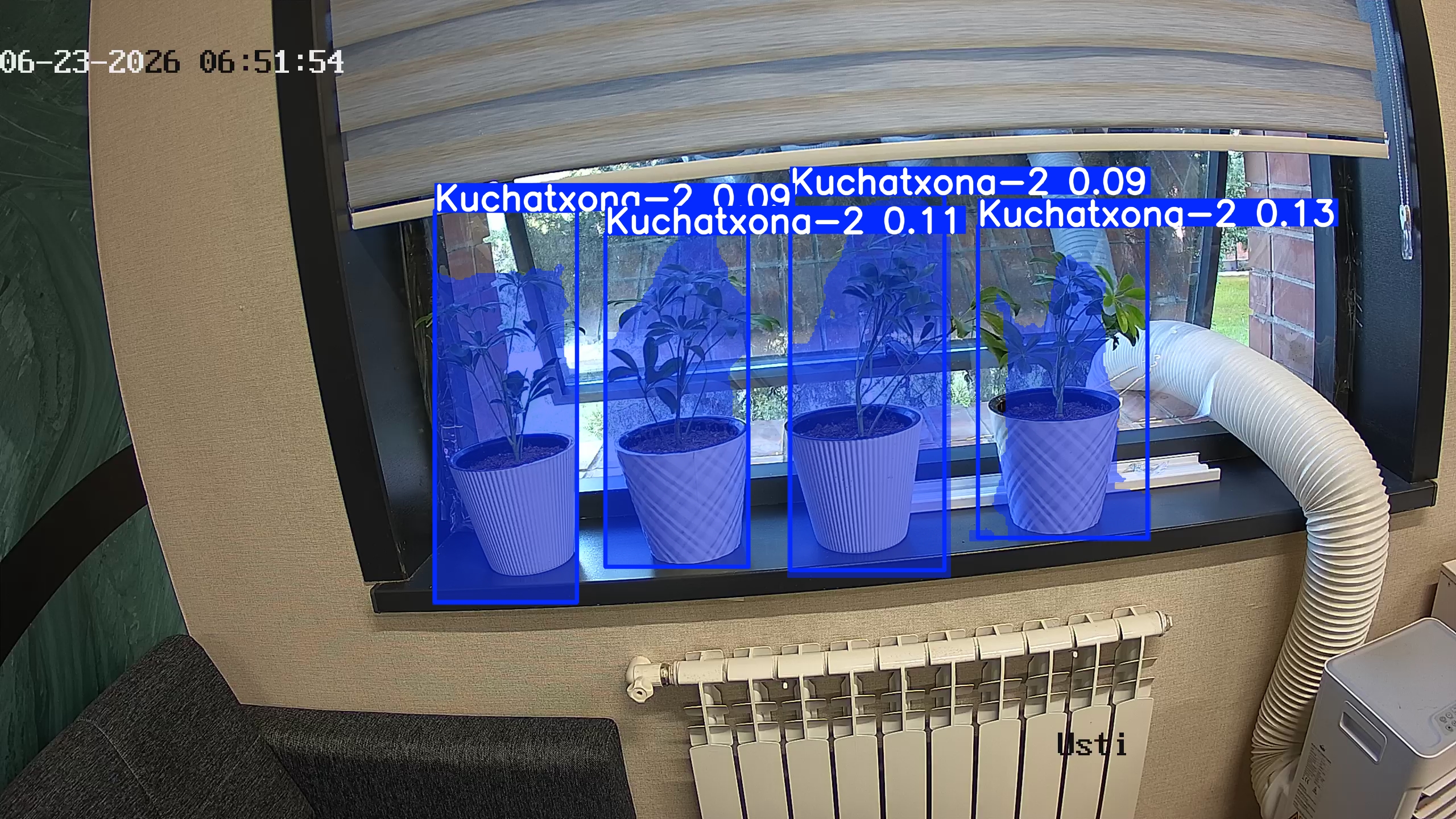 seedling_2026-06-23_06-52-09.jpg