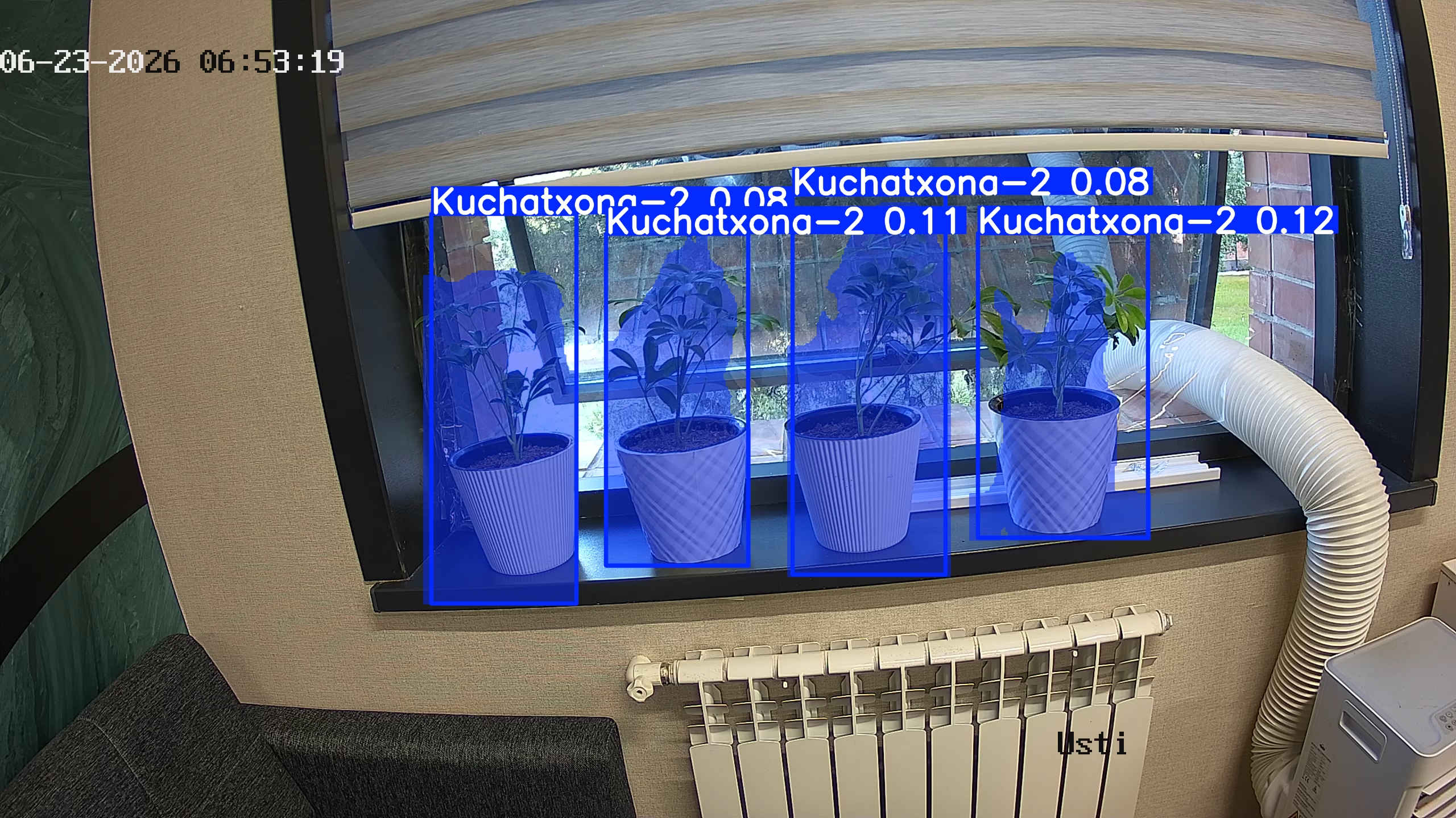 seedling_2026-06-23_06-53-35.jpg