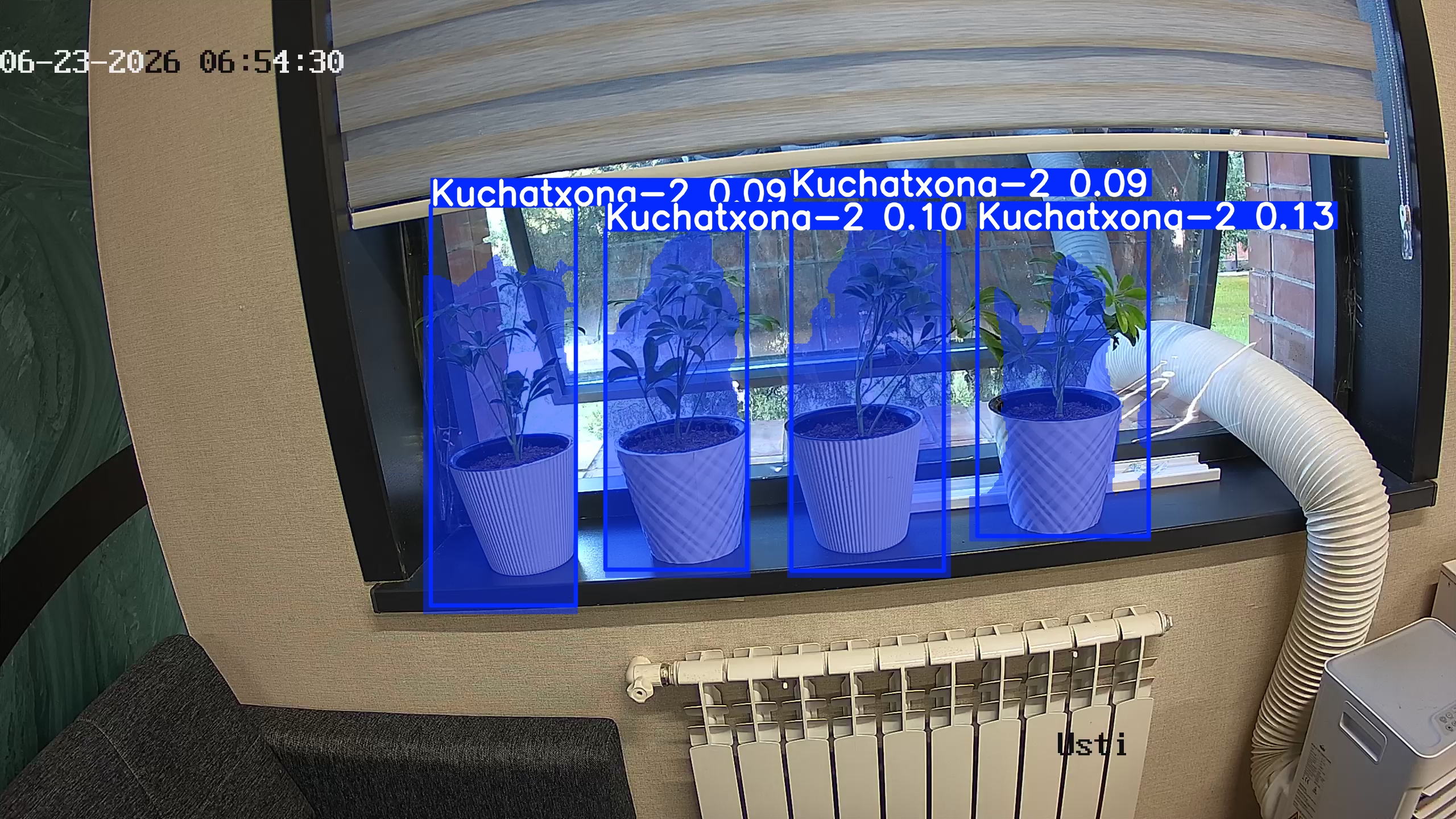 seedling_2026-06-23_06-54-46.jpg