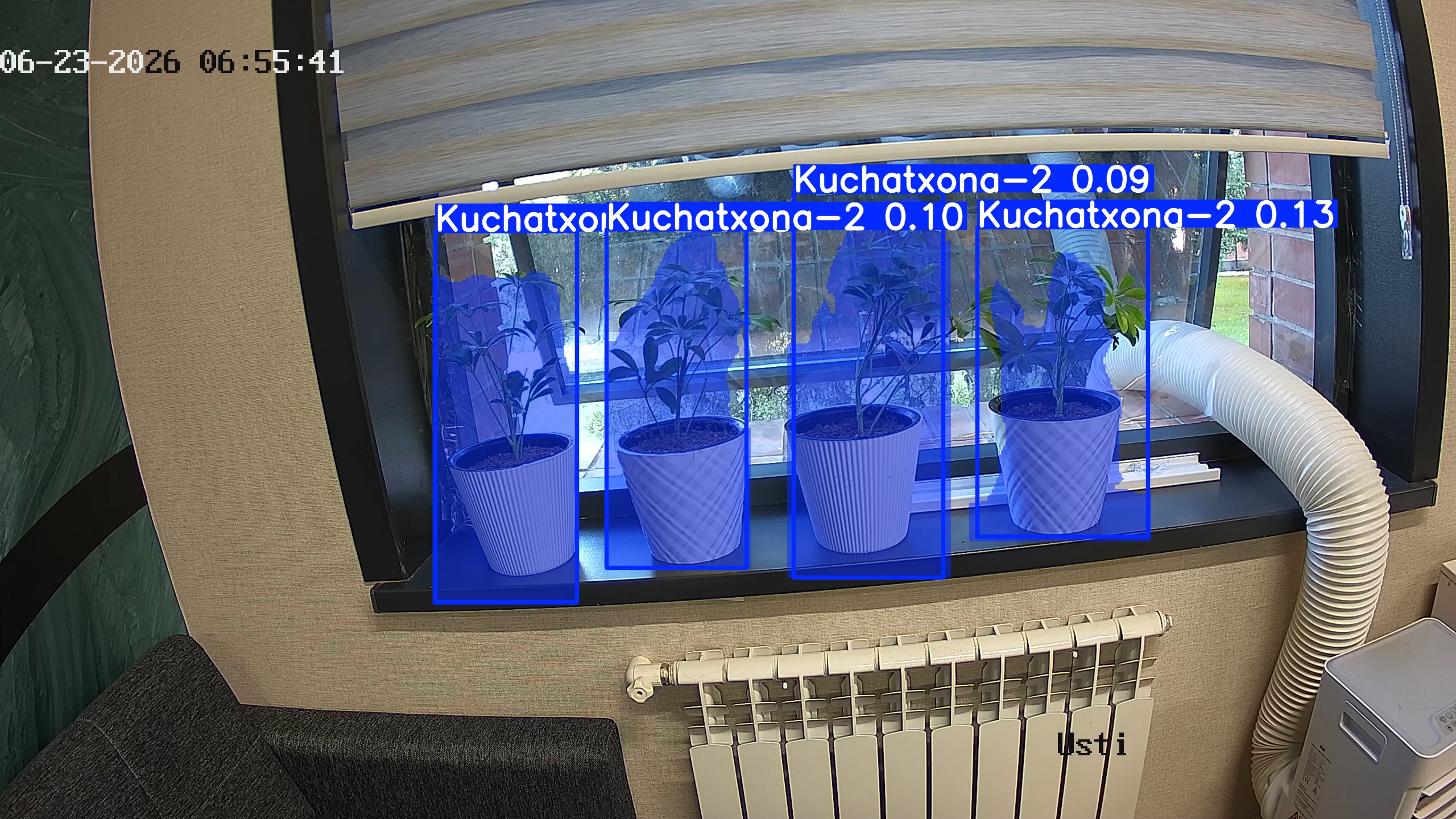 seedling_2026-06-23_06-55-56.jpg