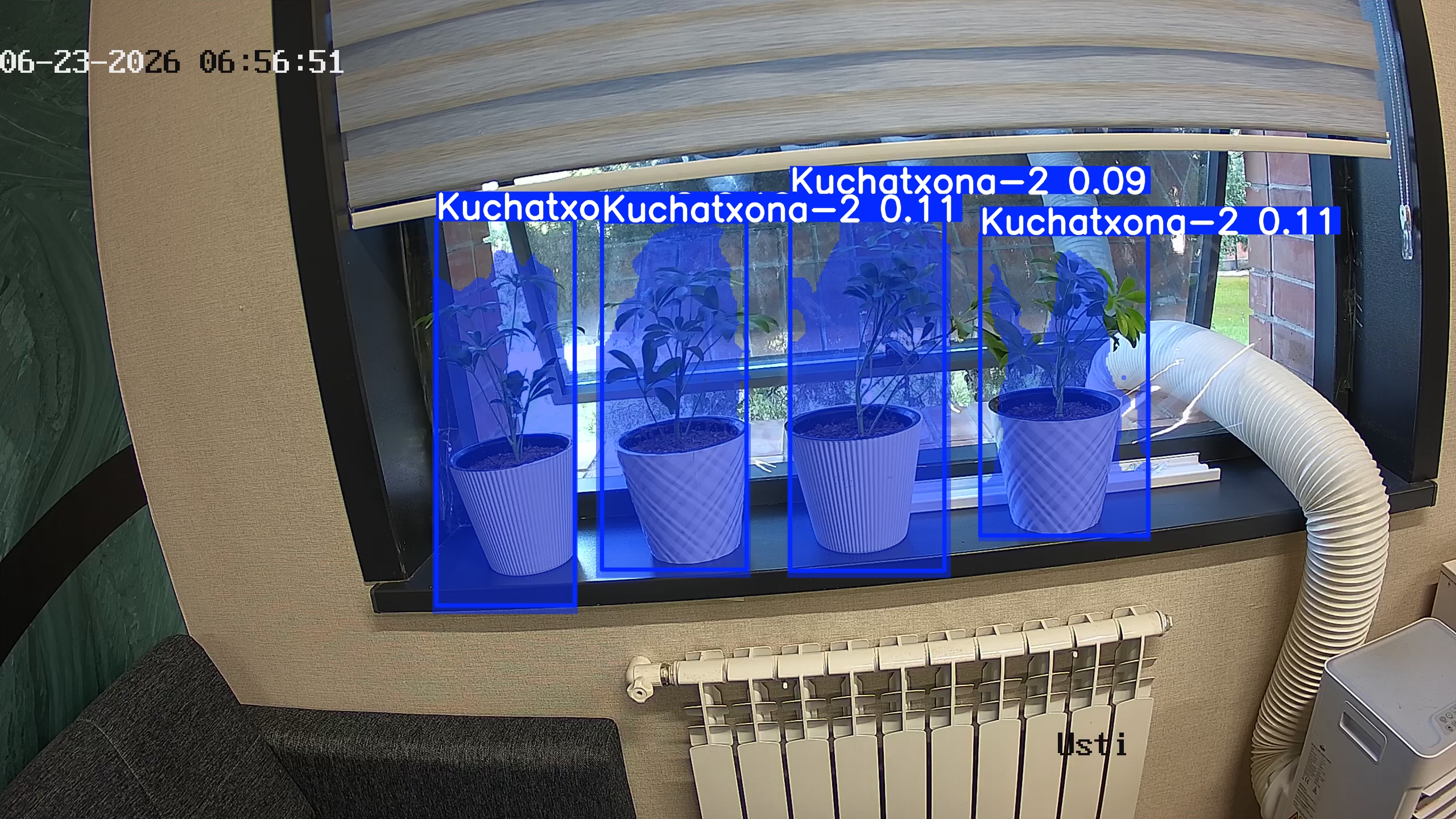 seedling_2026-06-23_06-57-06.jpg