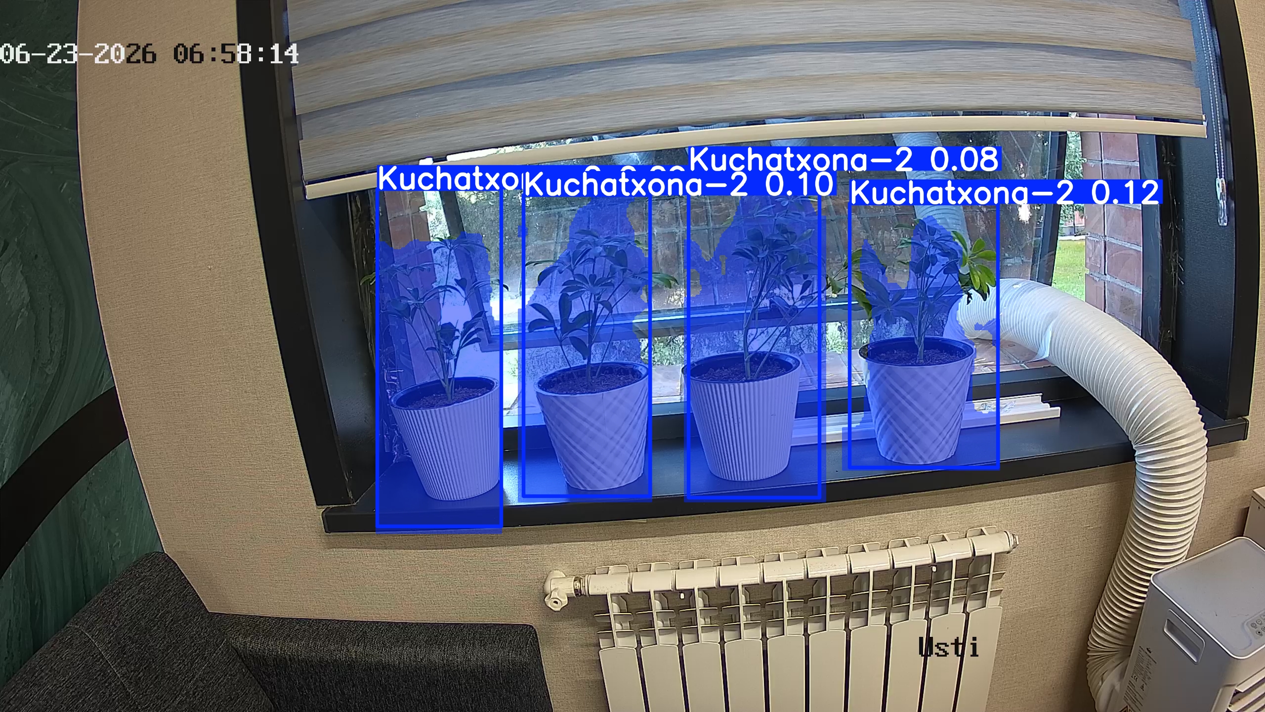 seedling_2026-06-23_06-58-29.jpg