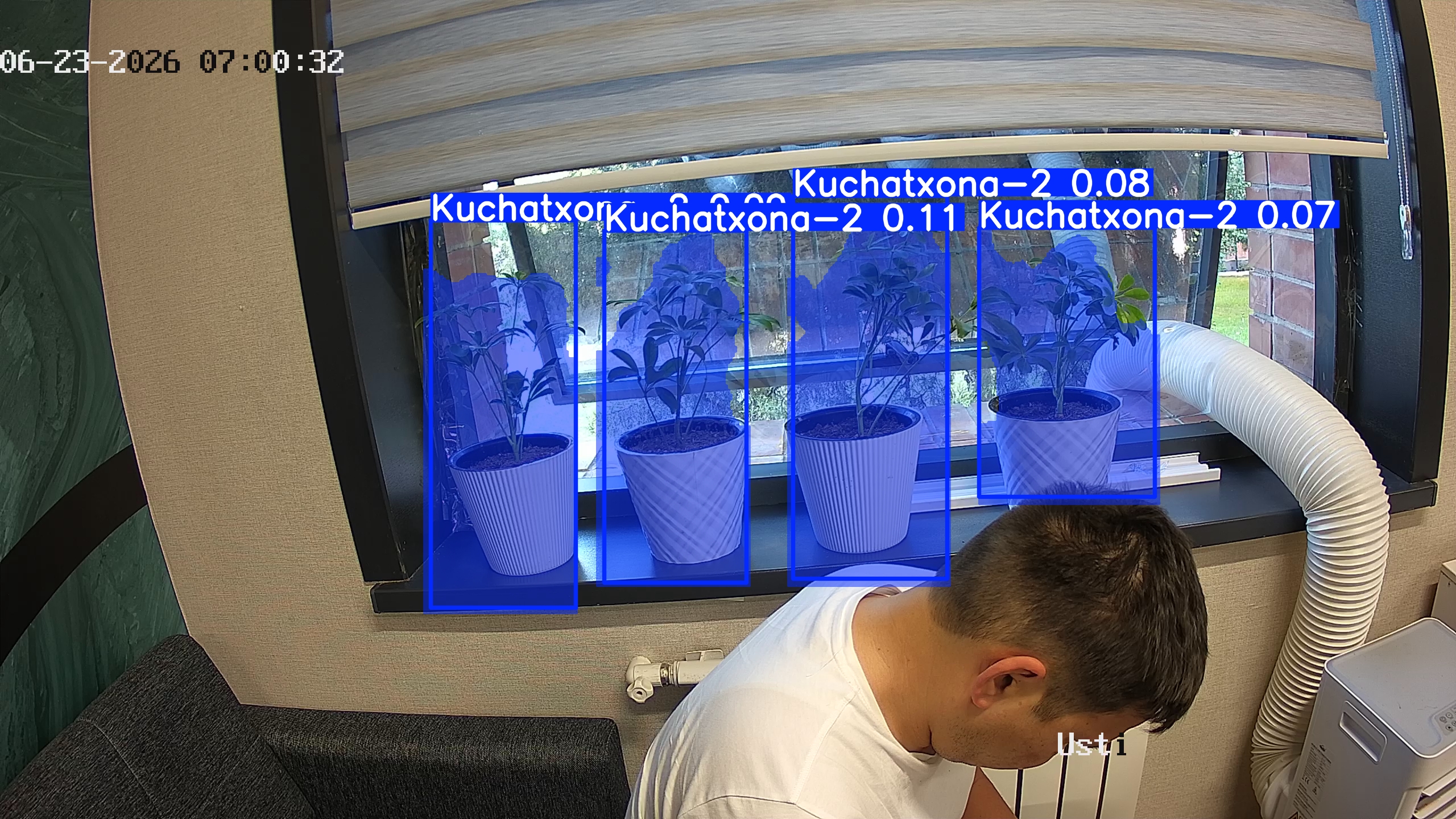seedling_2026-06-23_07-00-48.jpg