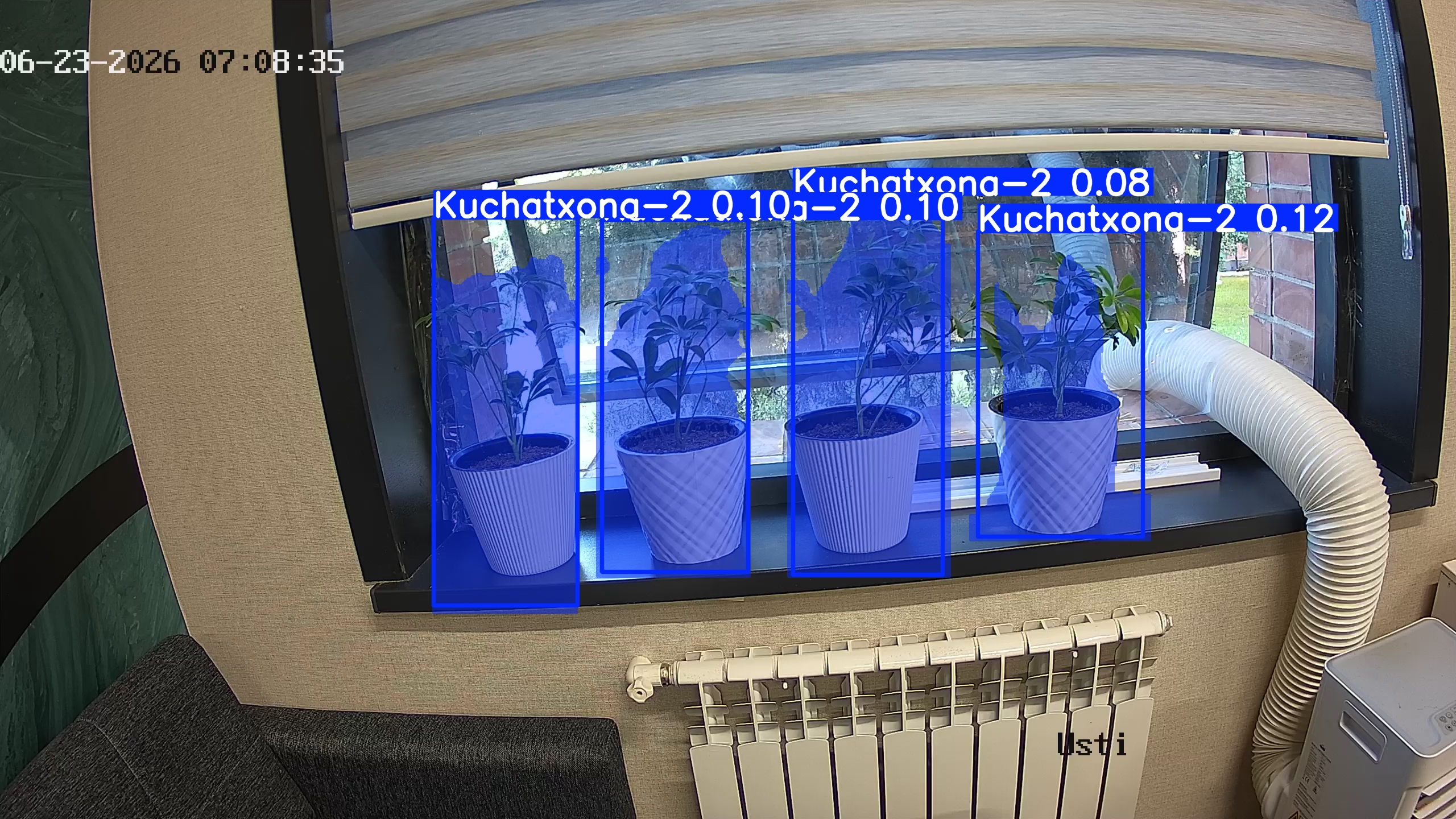 seedling_2026-06-23_07-08-50.jpg