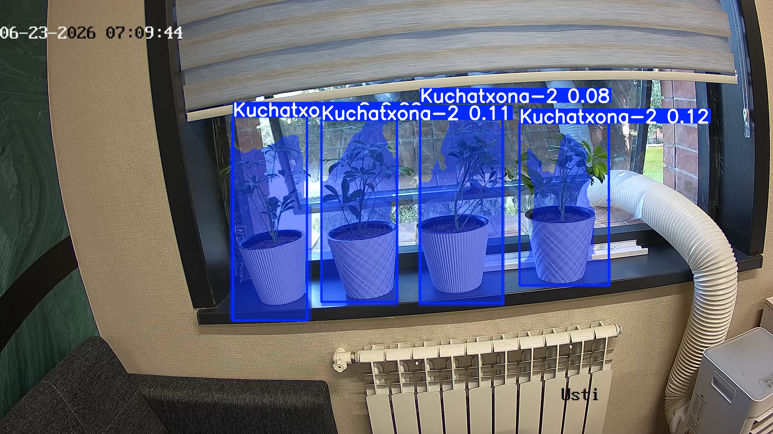 seedling_2026-06-23_07-10-00.jpg