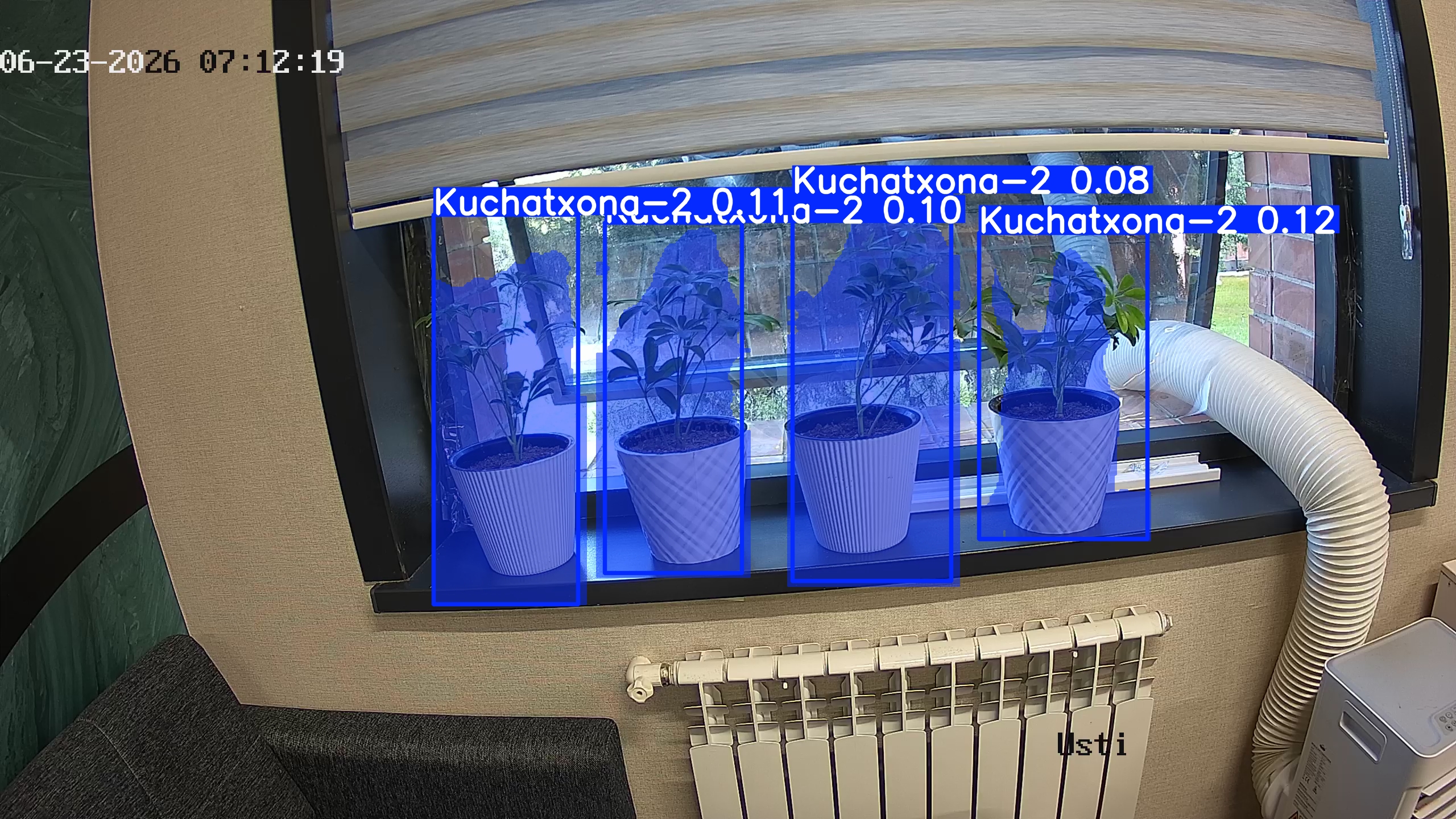 seedling_2026-06-23_07-12-34.jpg