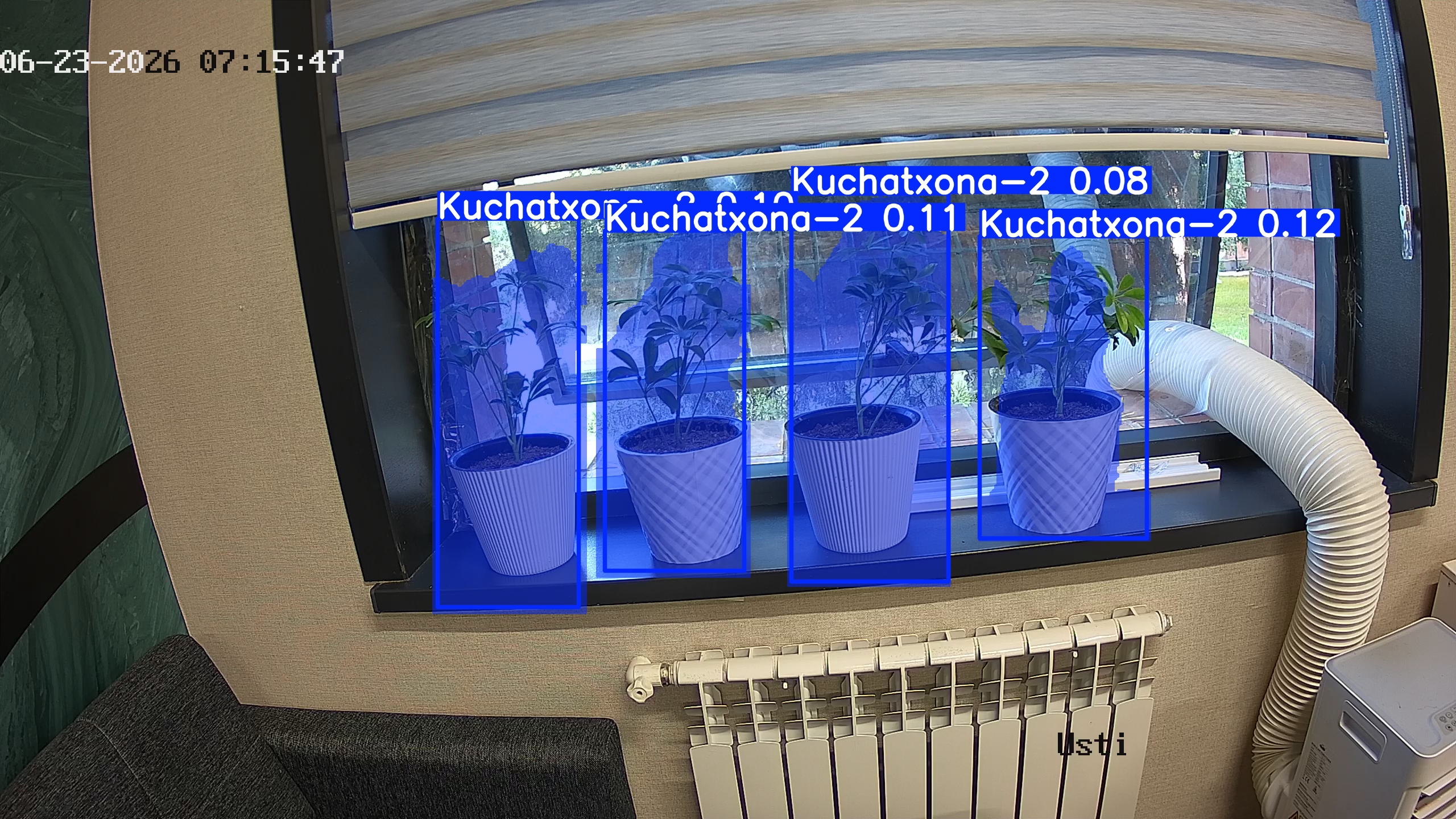 seedling_2026-06-23_07-16-03.jpg