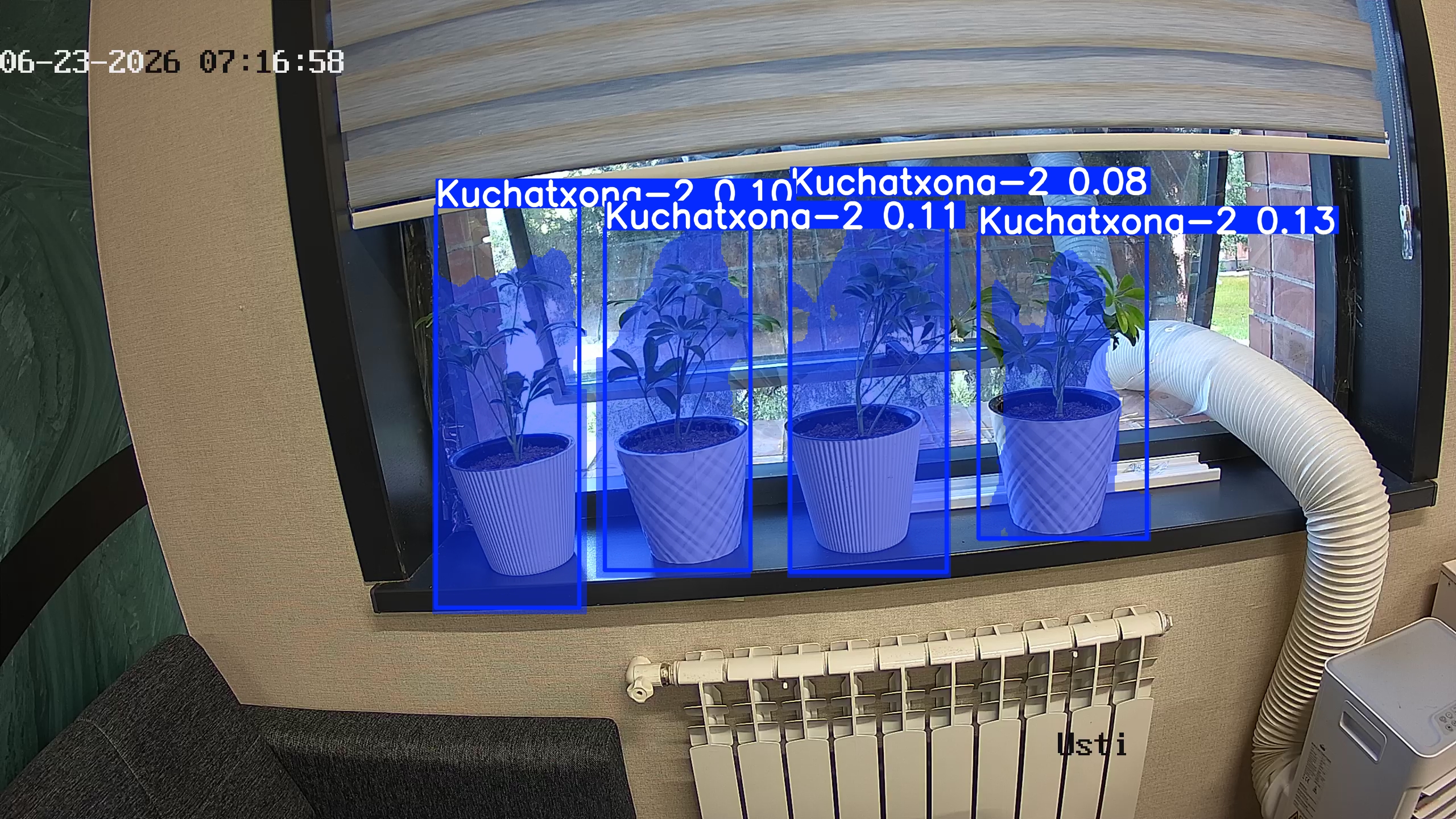 seedling_2026-06-23_07-17-13.jpg