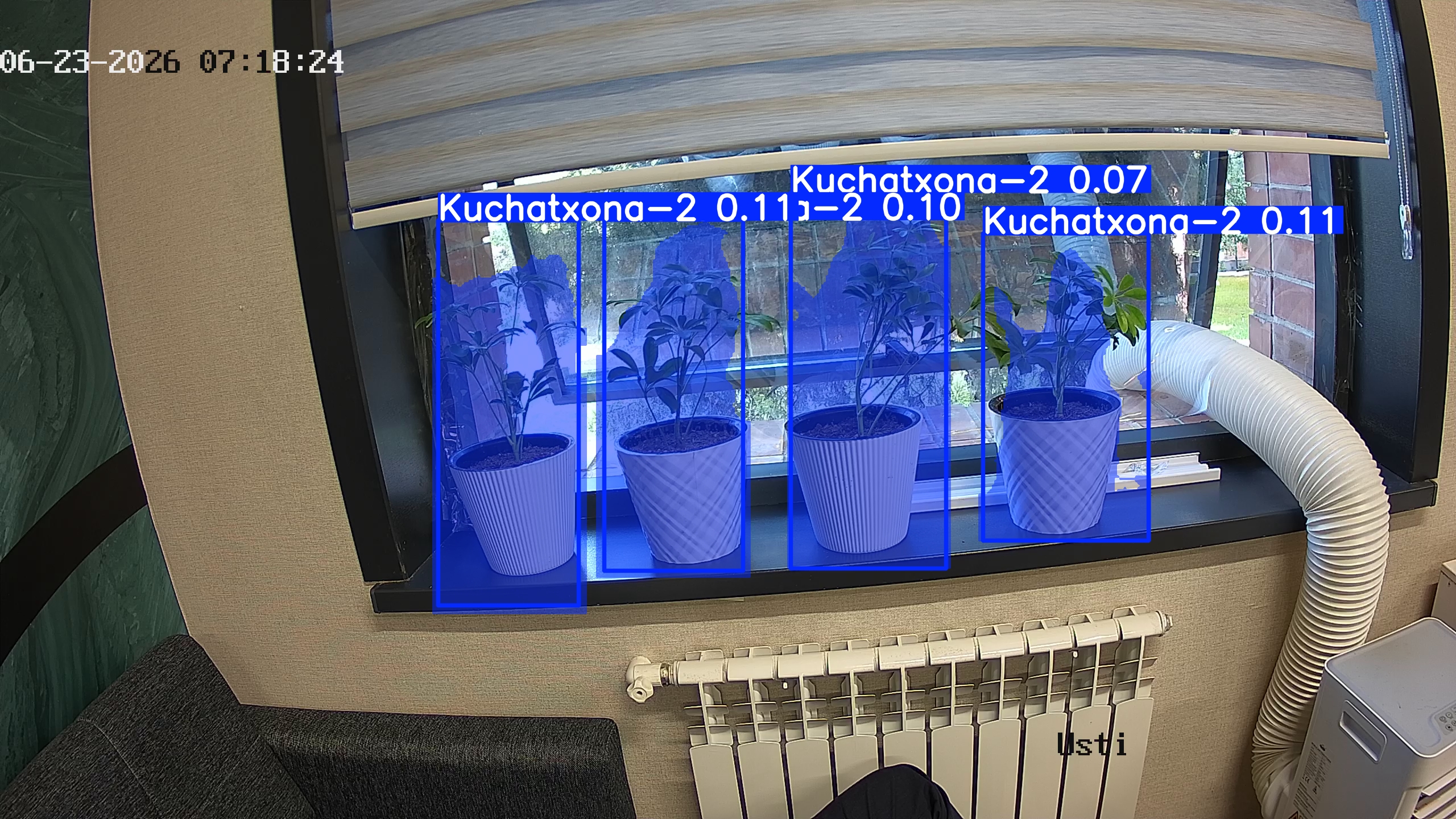 seedling_2026-06-23_07-18-39.jpg