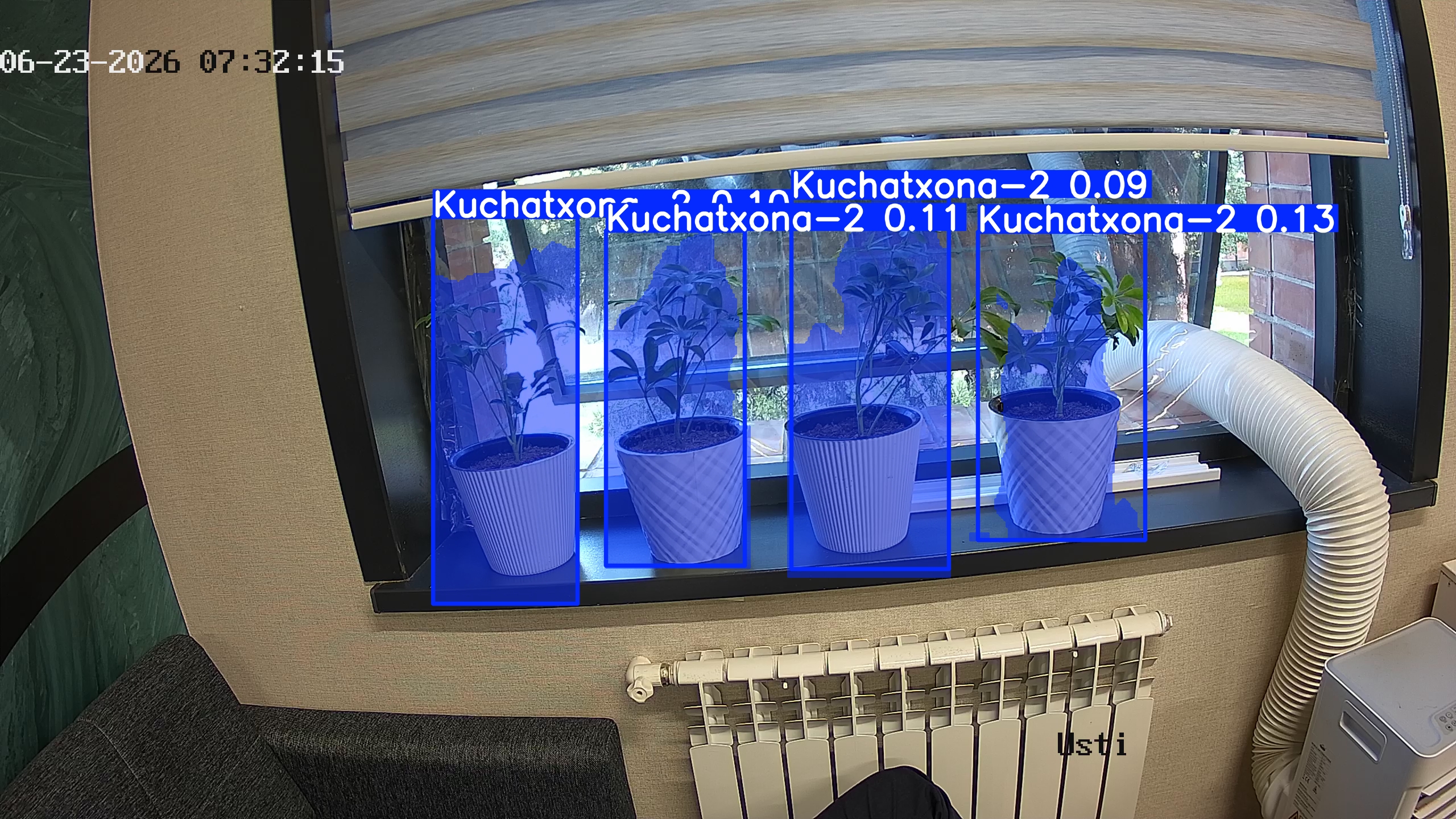 seedling_2026-06-23_07-32-30.jpg