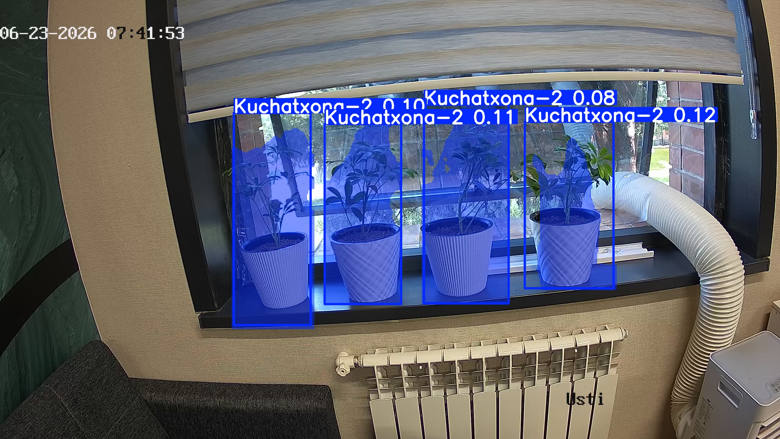 seedling_2026-06-23_07-42-09.jpg