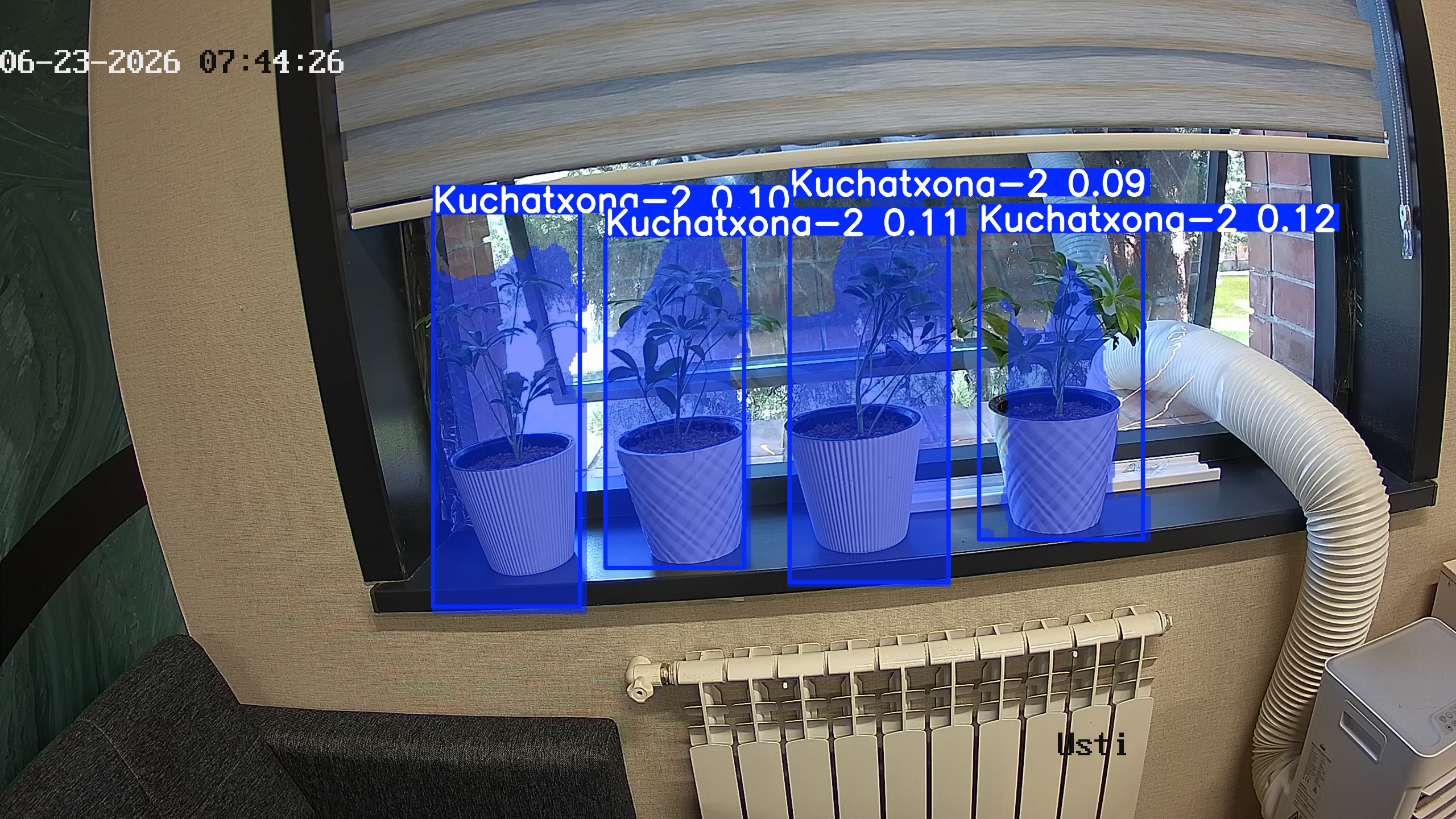 seedling_2026-06-23_07-44-42.jpg