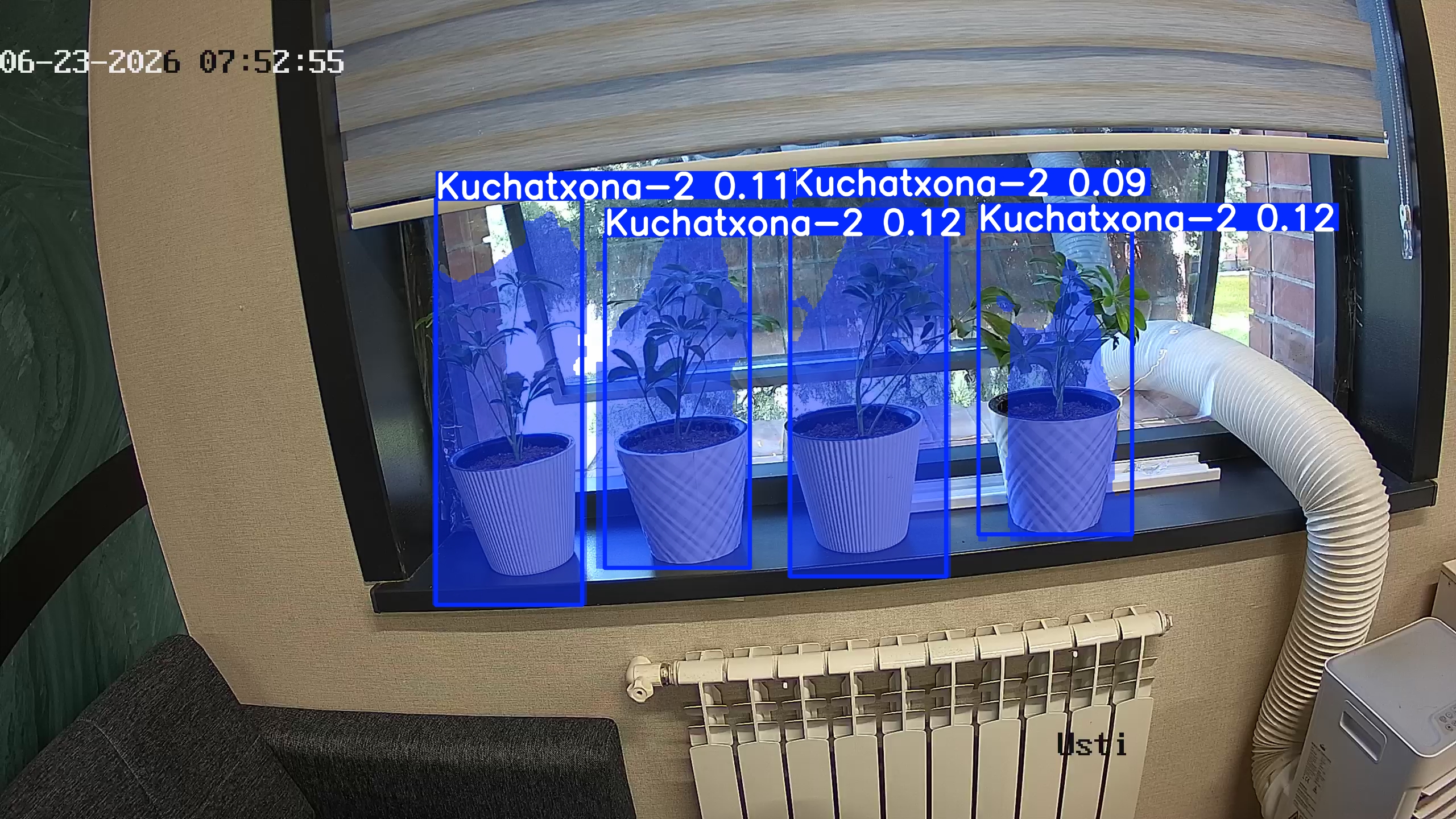 seedling_2026-06-23_07-53-11.jpg