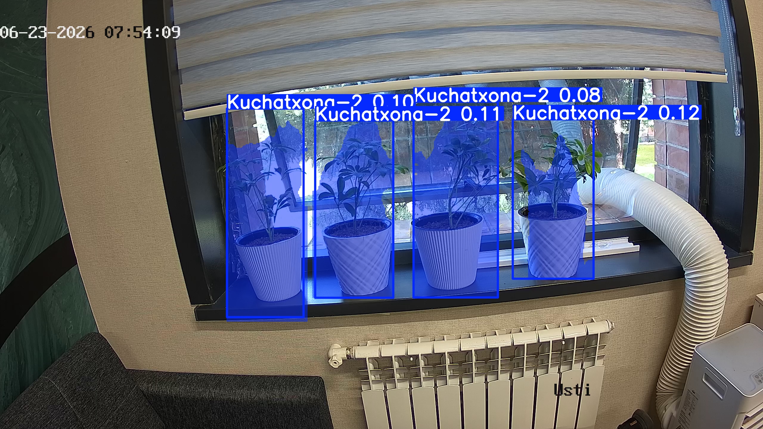 seedling_2026-06-23_07-54-25.jpg