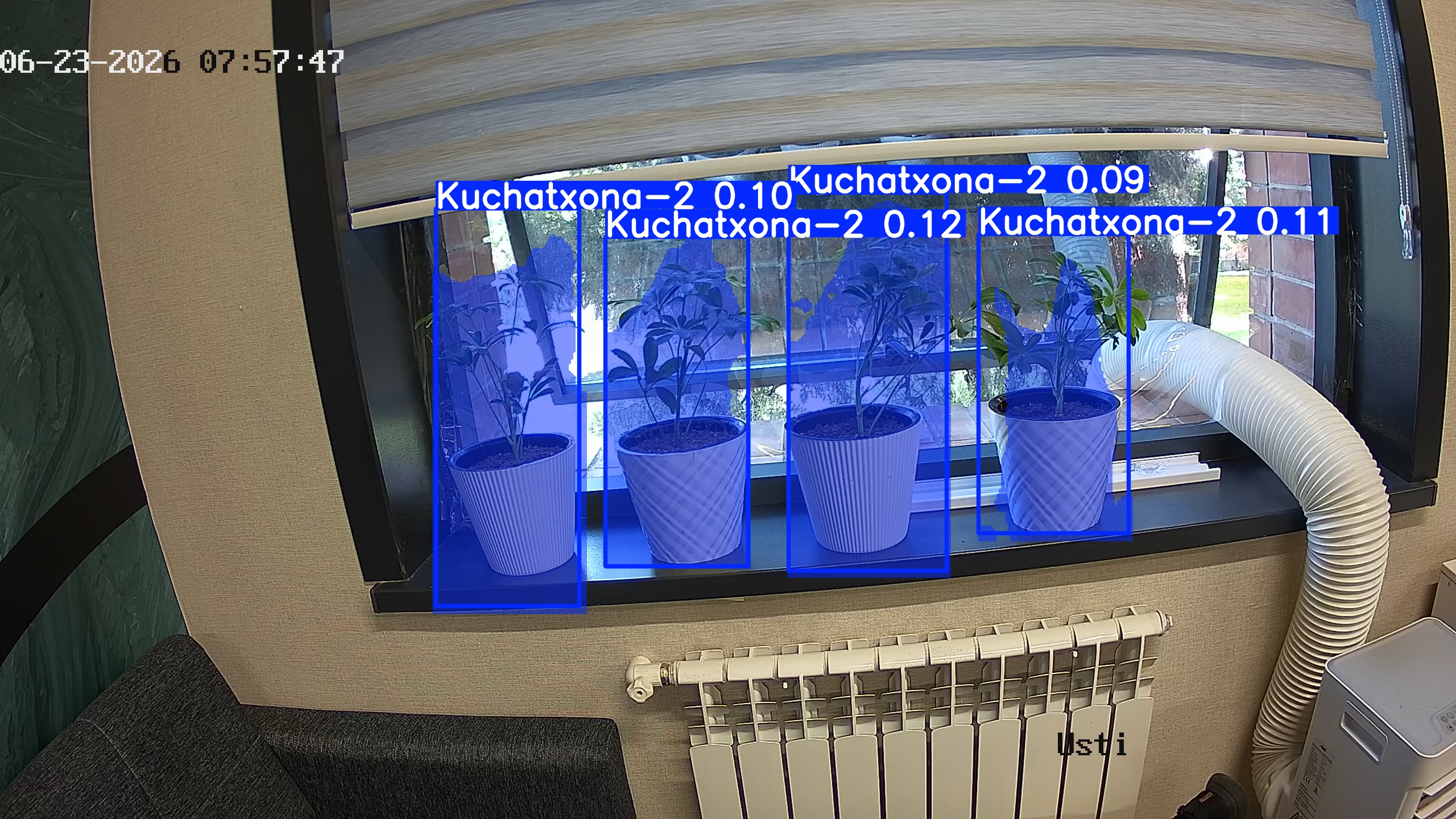 seedling_2026-06-23_07-58-03.jpg