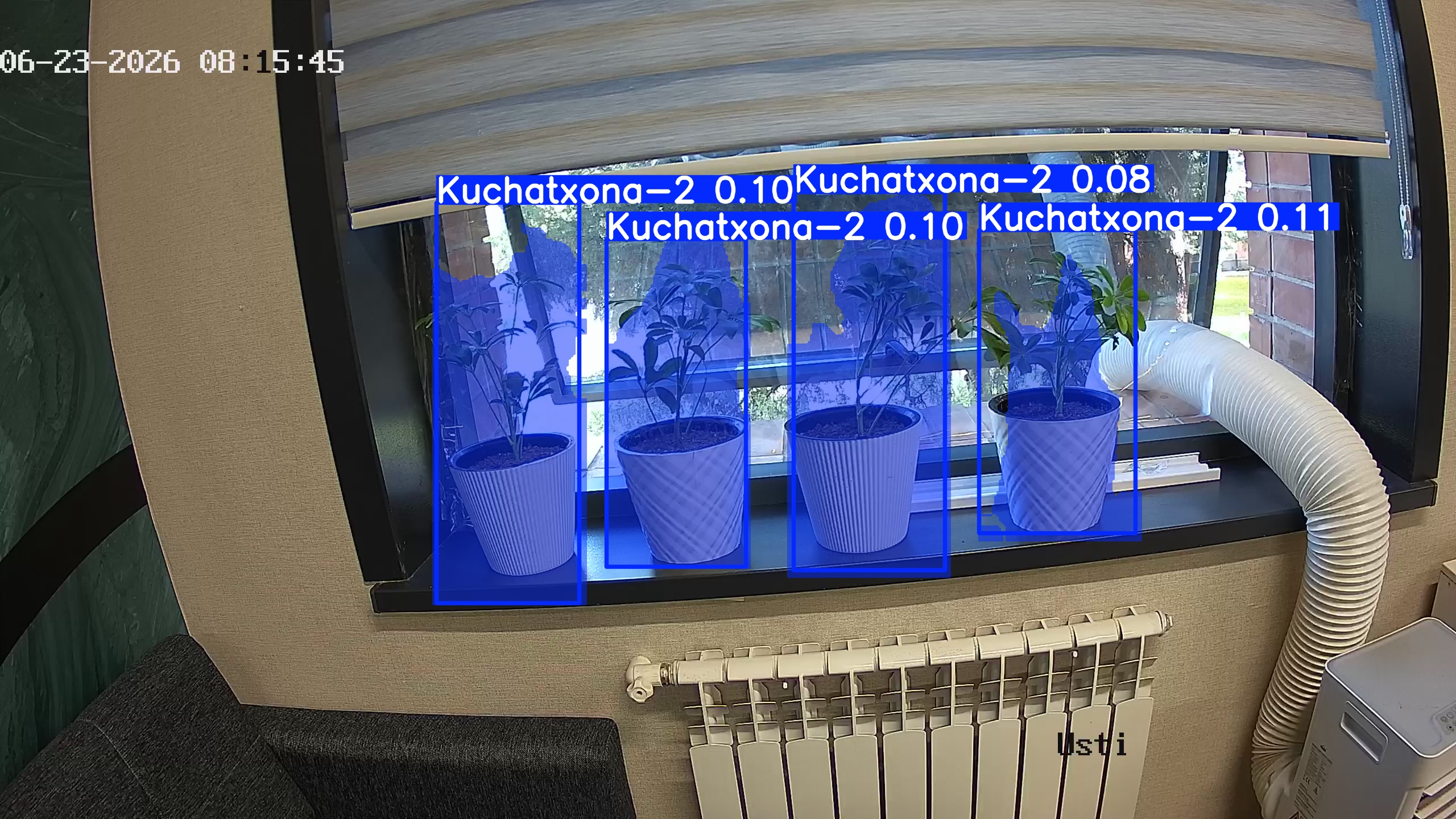 seedling_2026-06-23_08-16-00.jpg