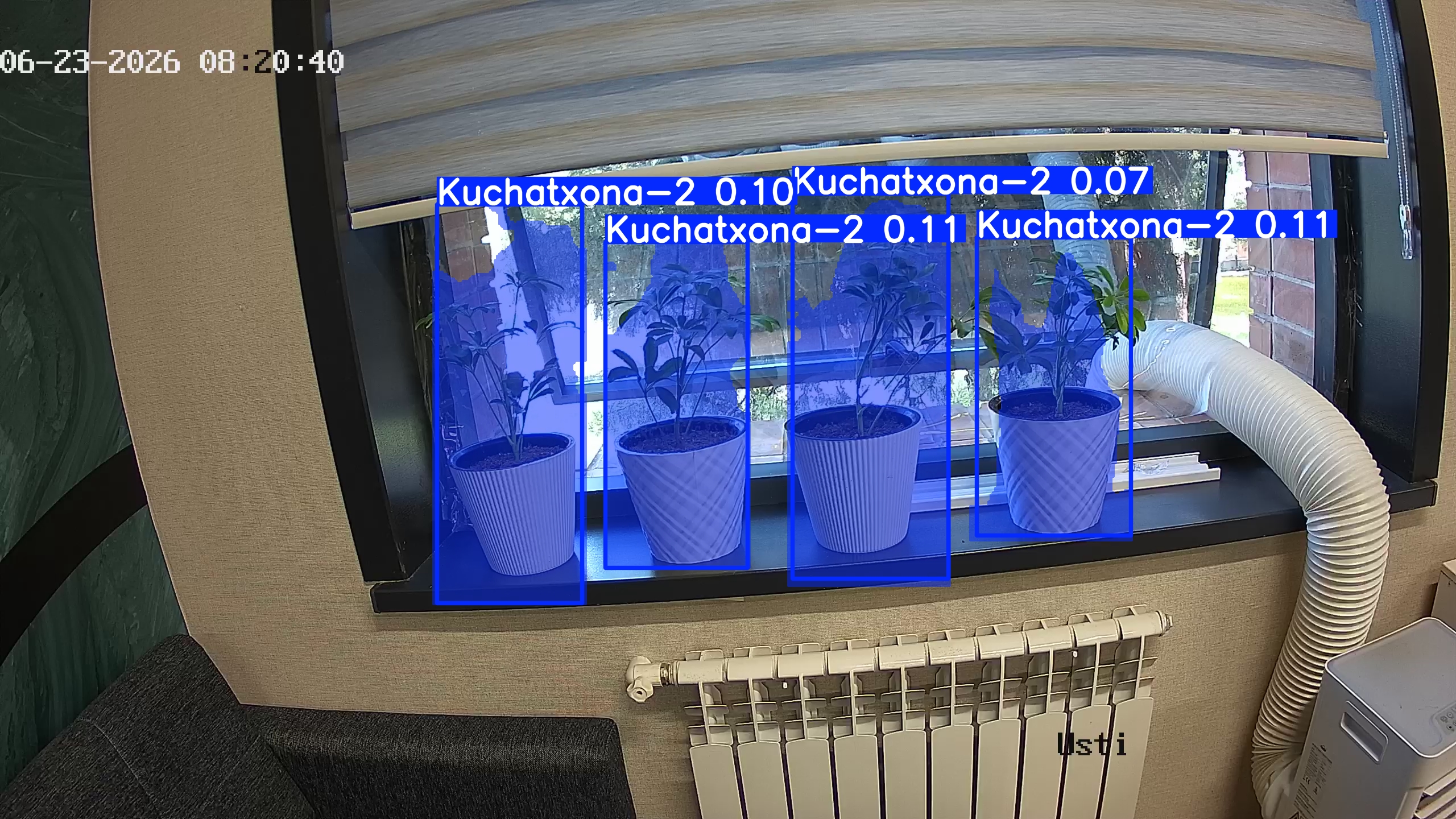 seedling_2026-06-23_08-20-55.jpg