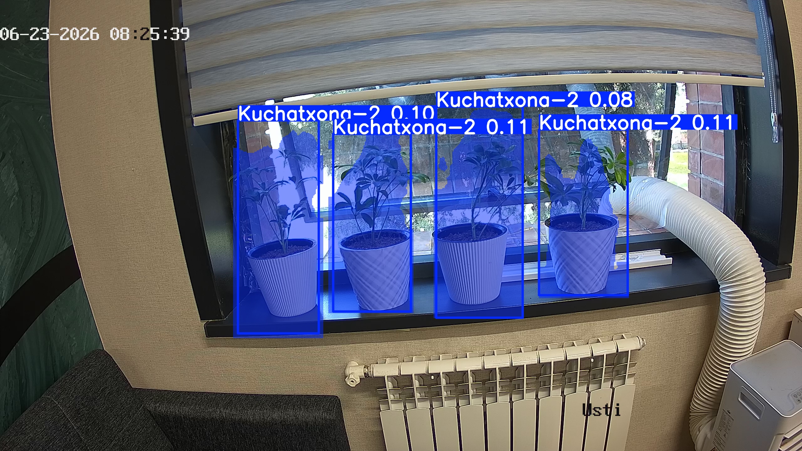 seedling_2026-06-23_08-25-55.jpg