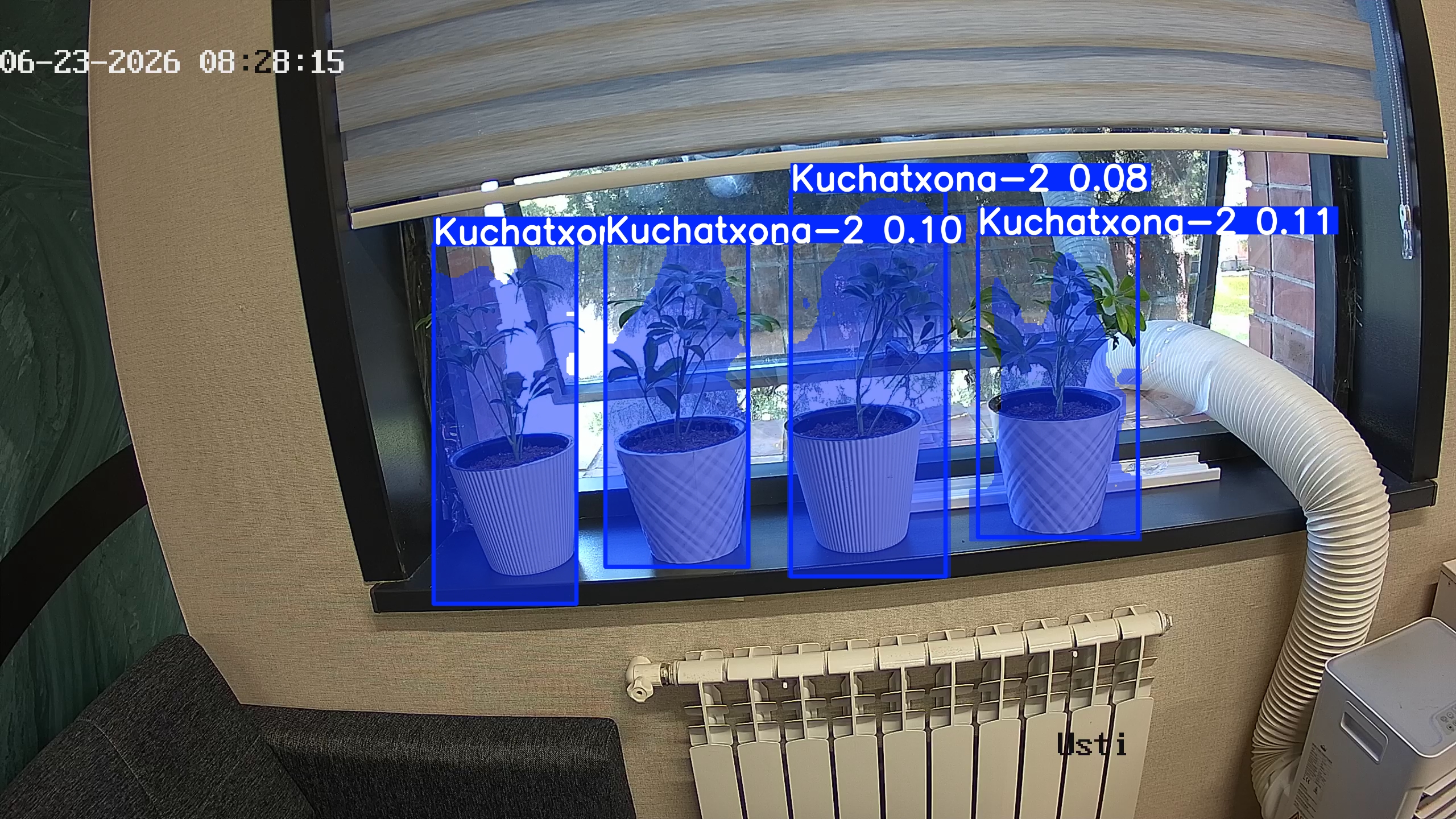 seedling_2026-06-23_08-28-31.jpg