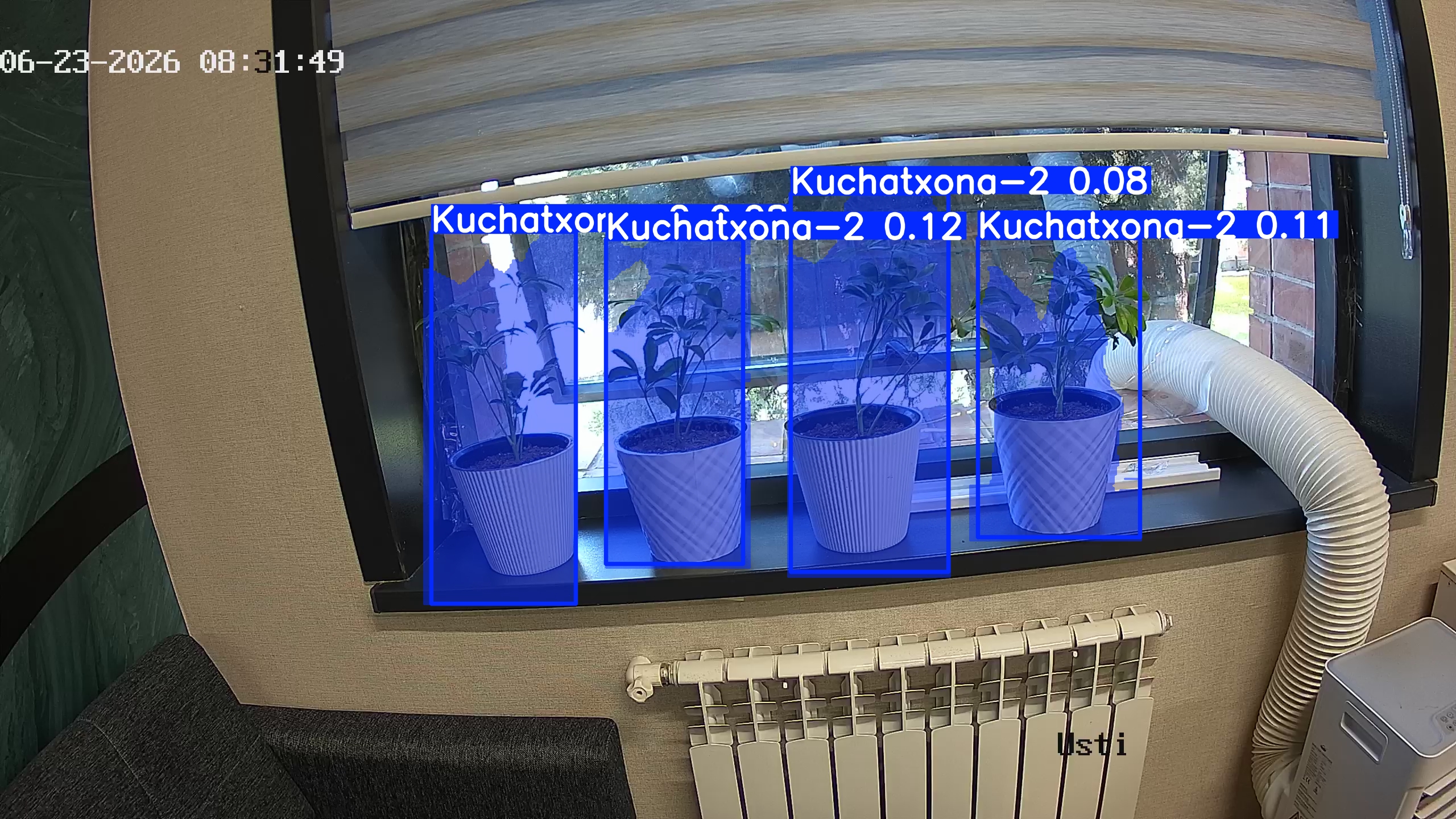 seedling_2026-06-23_08-32-04.jpg