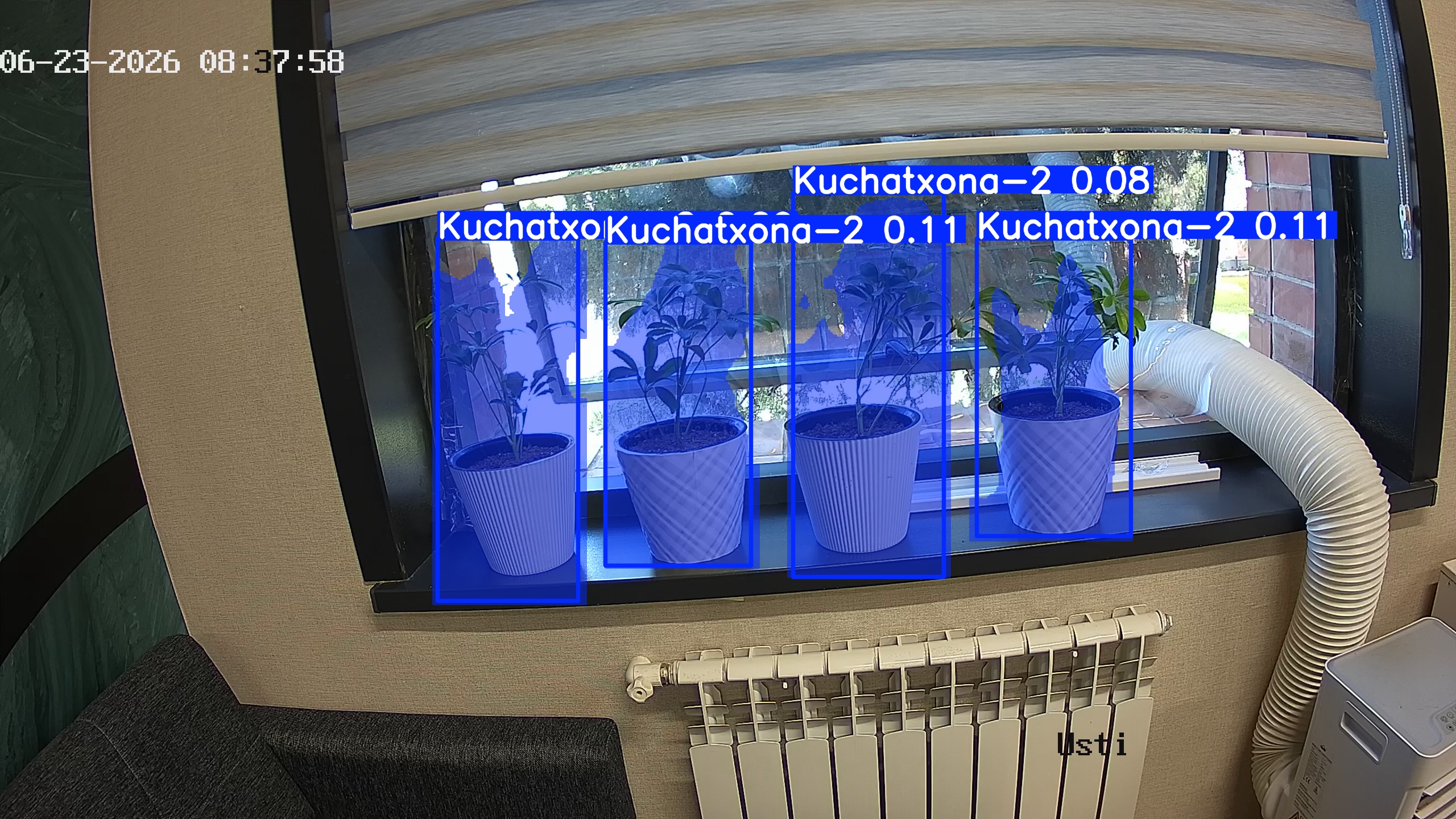 seedling_2026-06-23_08-38-13.jpg