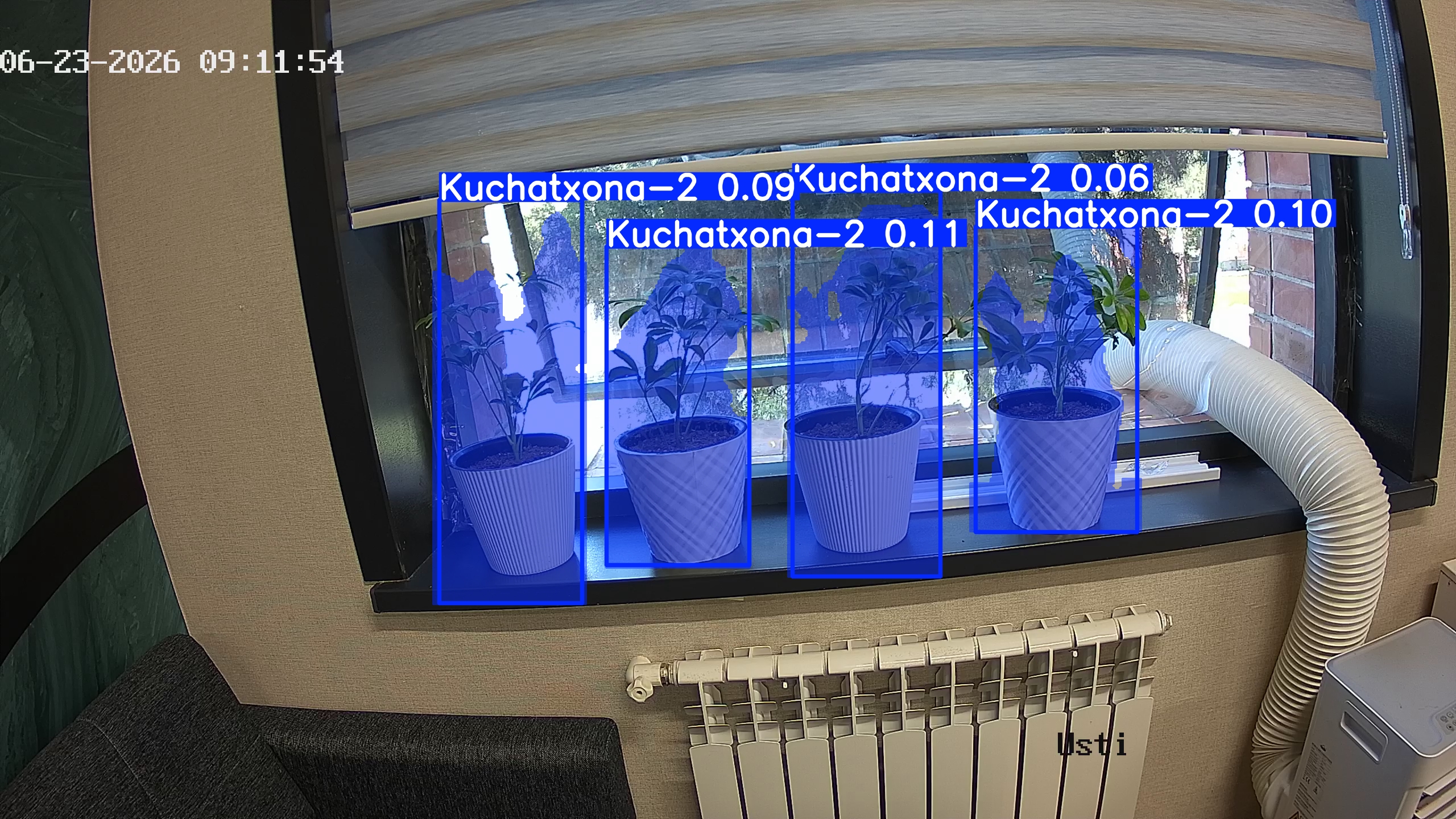 seedling_2026-06-23_09-12-05.jpg