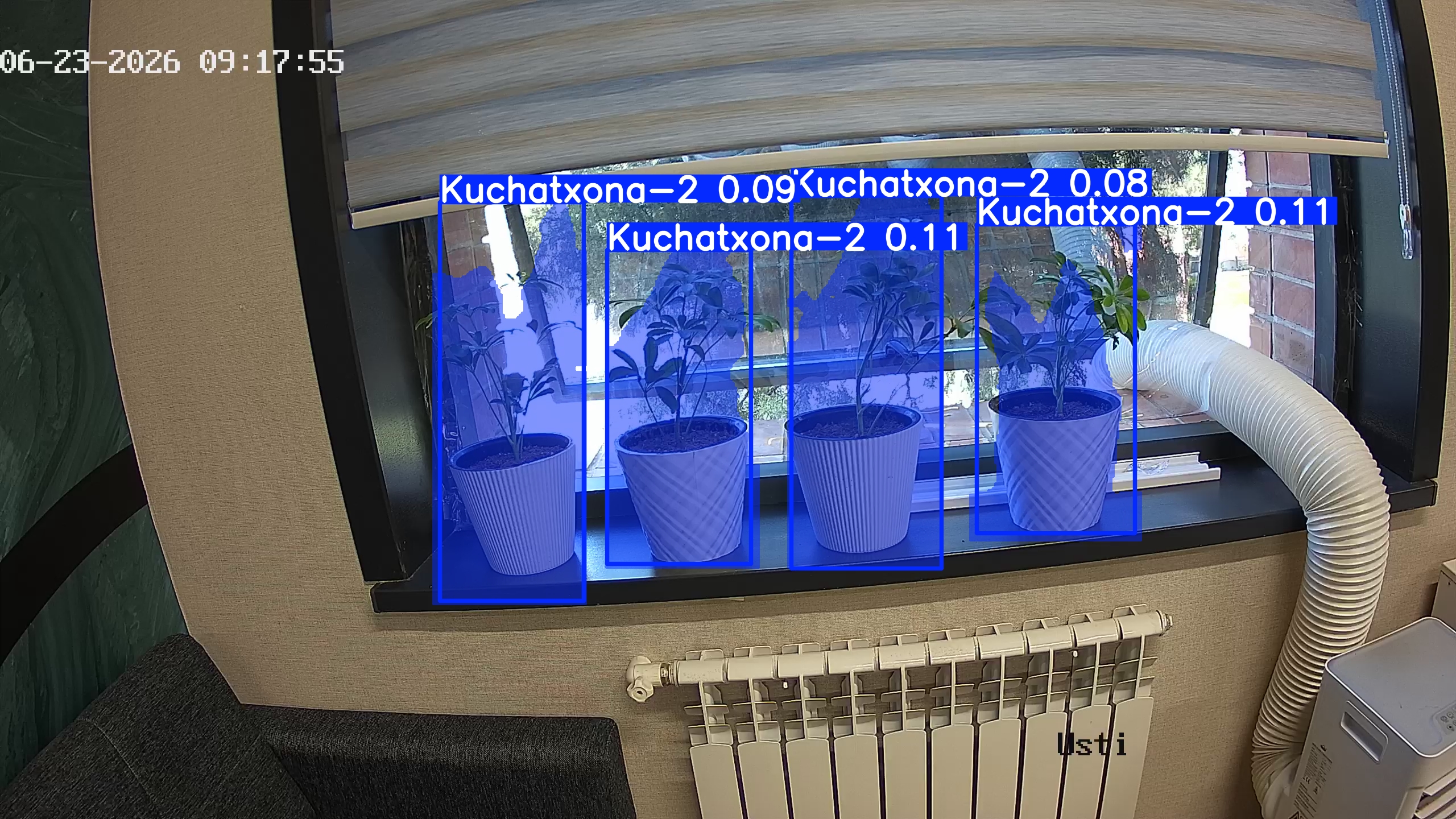 seedling_2026-06-23_09-18-10.jpg