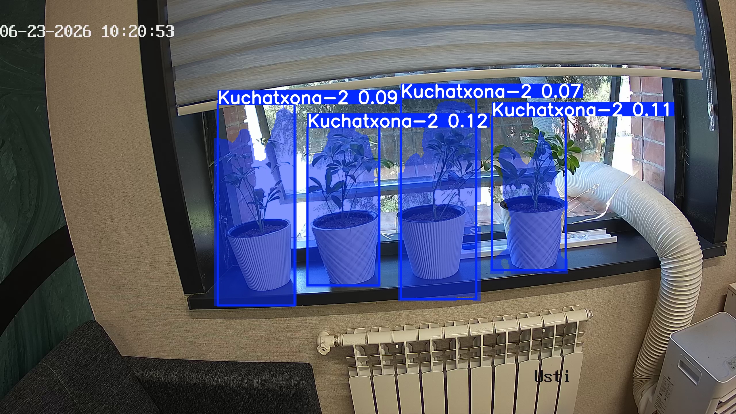 seedling_2026-06-23_10-21-28.jpg