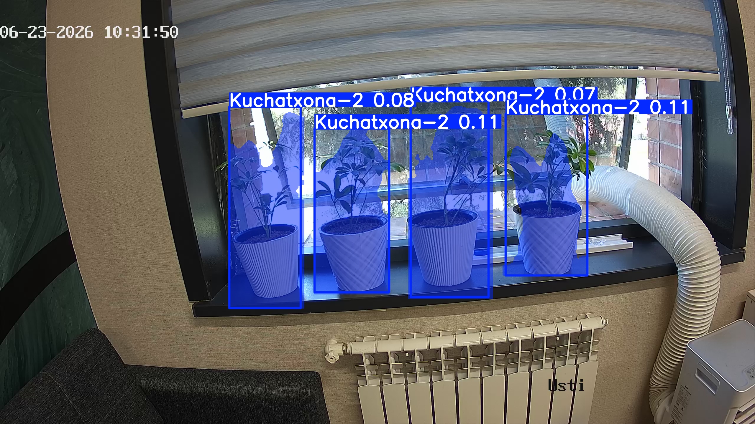 seedling_2026-06-23_10-32-10.jpg