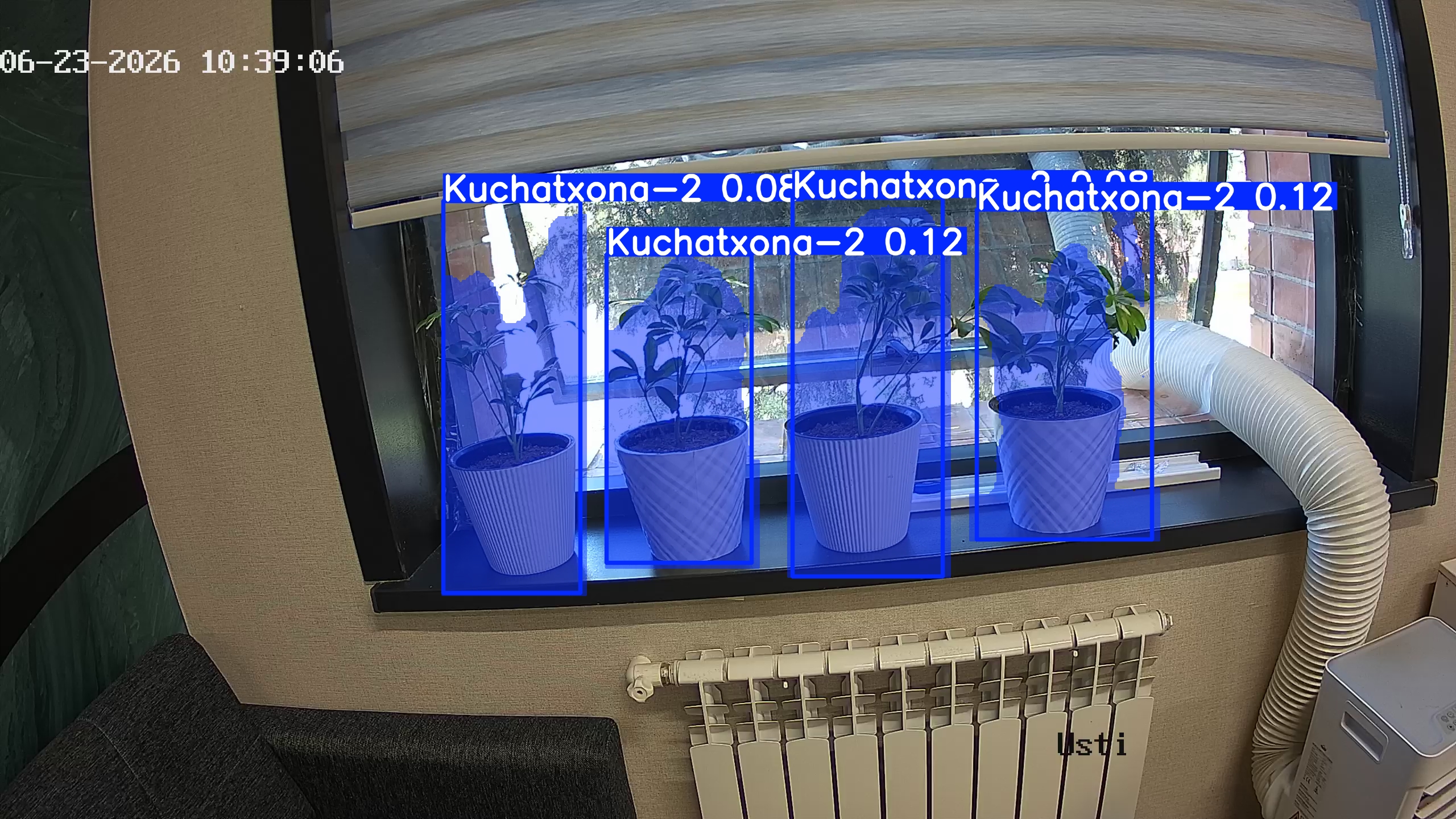 seedling_2026-06-23_10-39-21.jpg