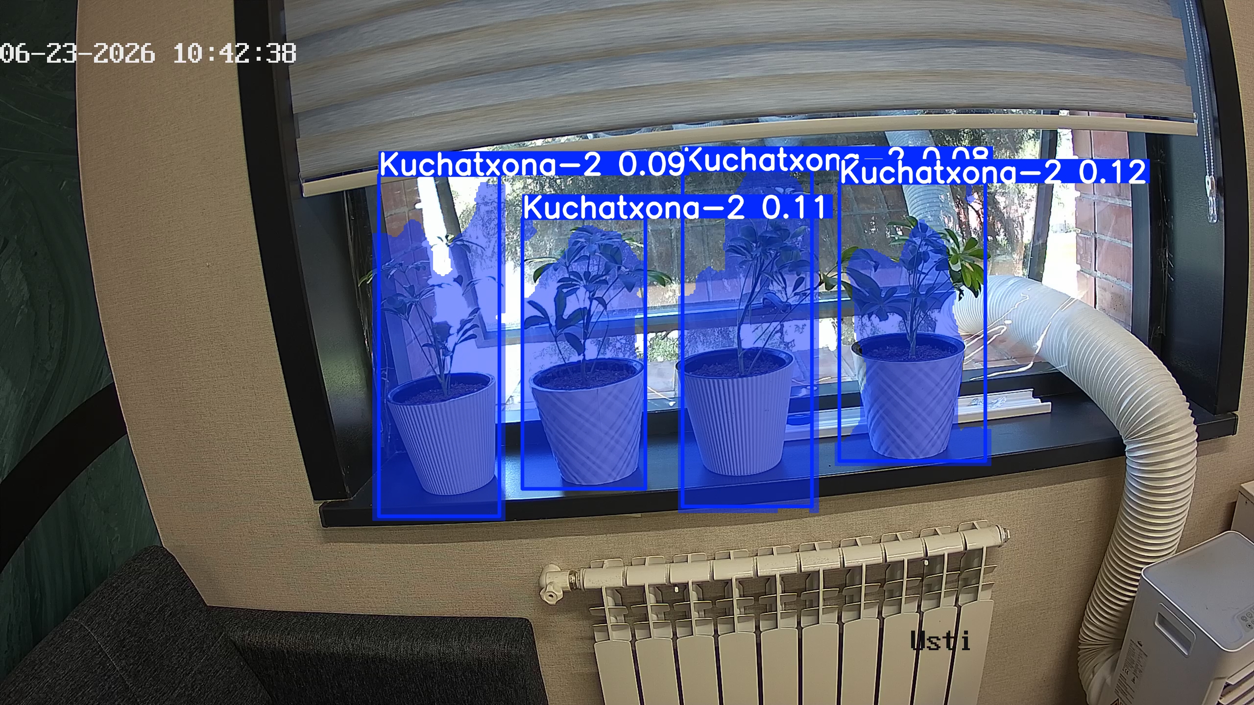 seedling_2026-06-23_10-42-54.jpg