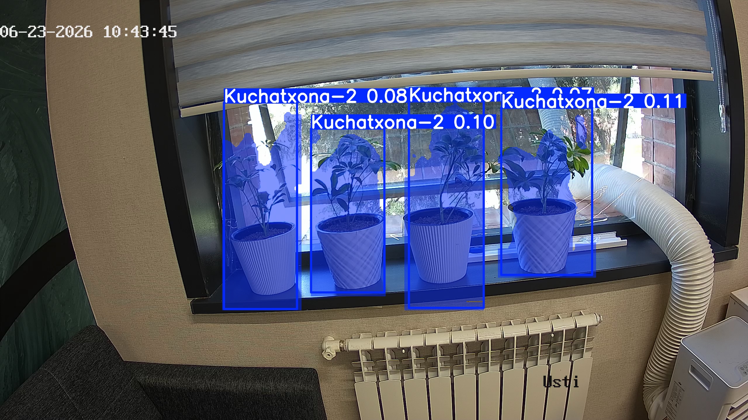 seedling_2026-06-23_10-44-00.jpg