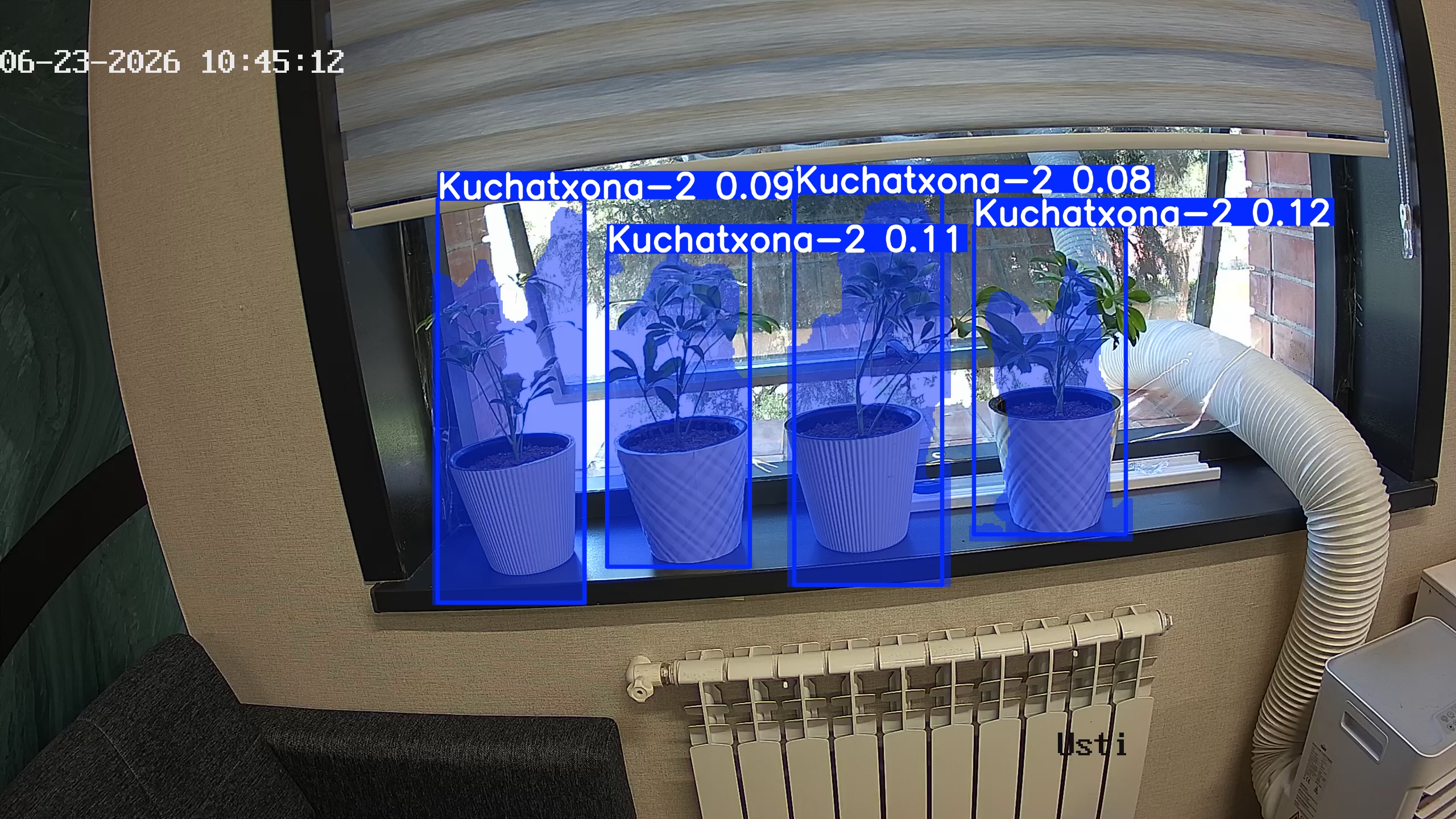 seedling_2026-06-23_10-45-38.jpg