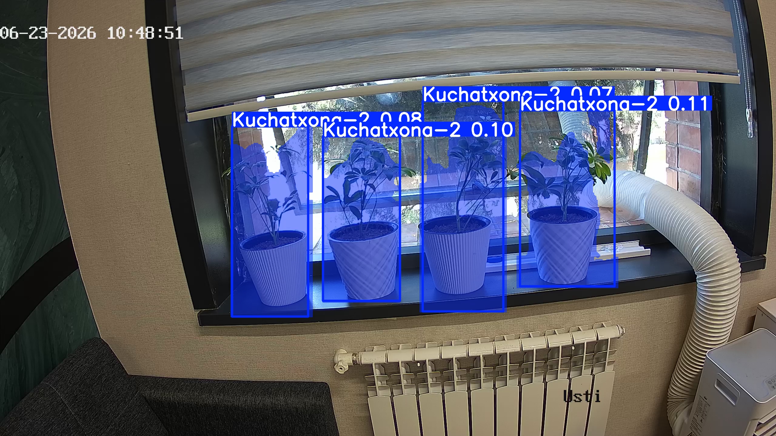 seedling_2026-06-23_10-49-07.jpg